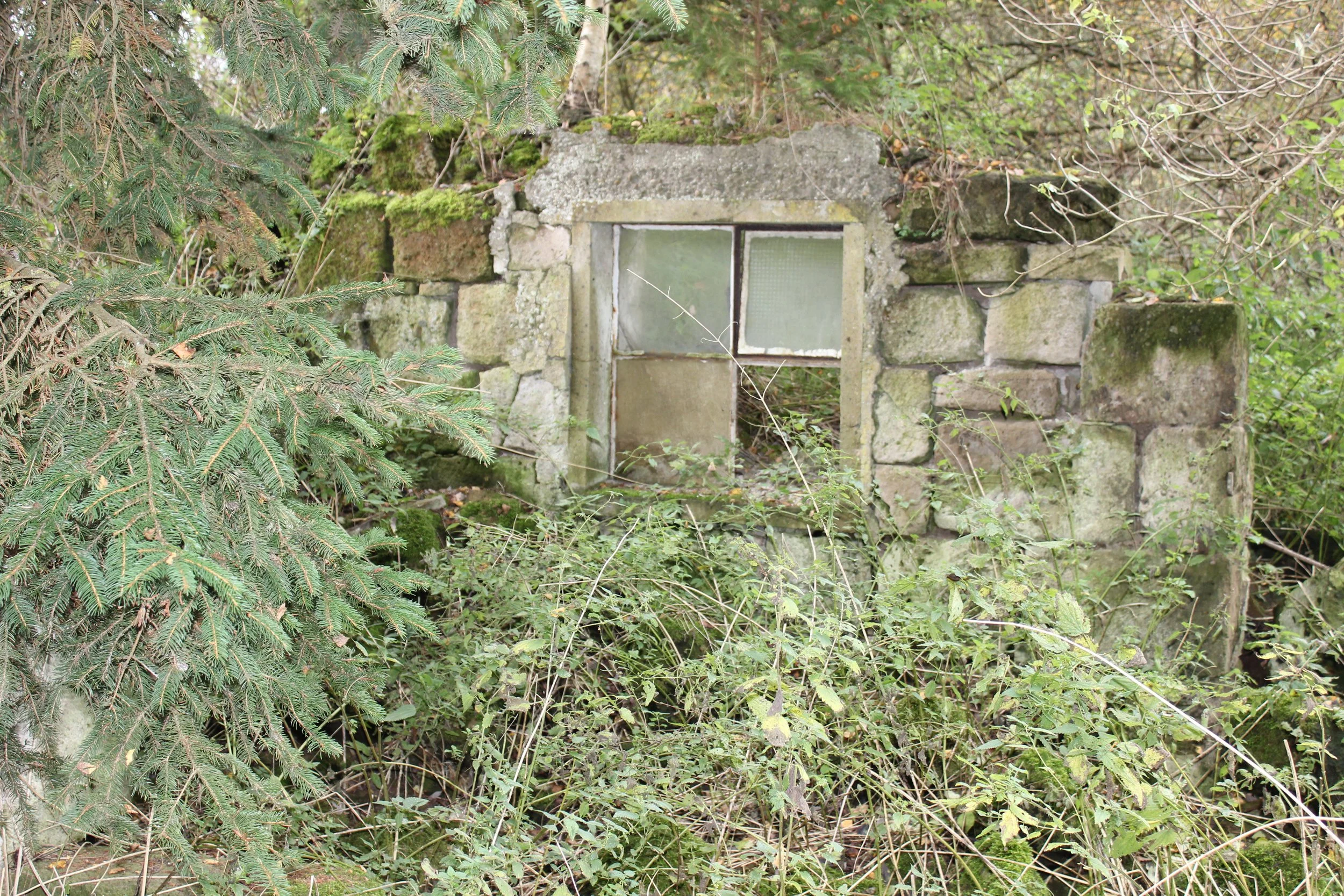 Ein altes, verfallenes Fenster in einer Mauer, umgeben von wild wachsenden Pflanzen und Bäumen im Freien.