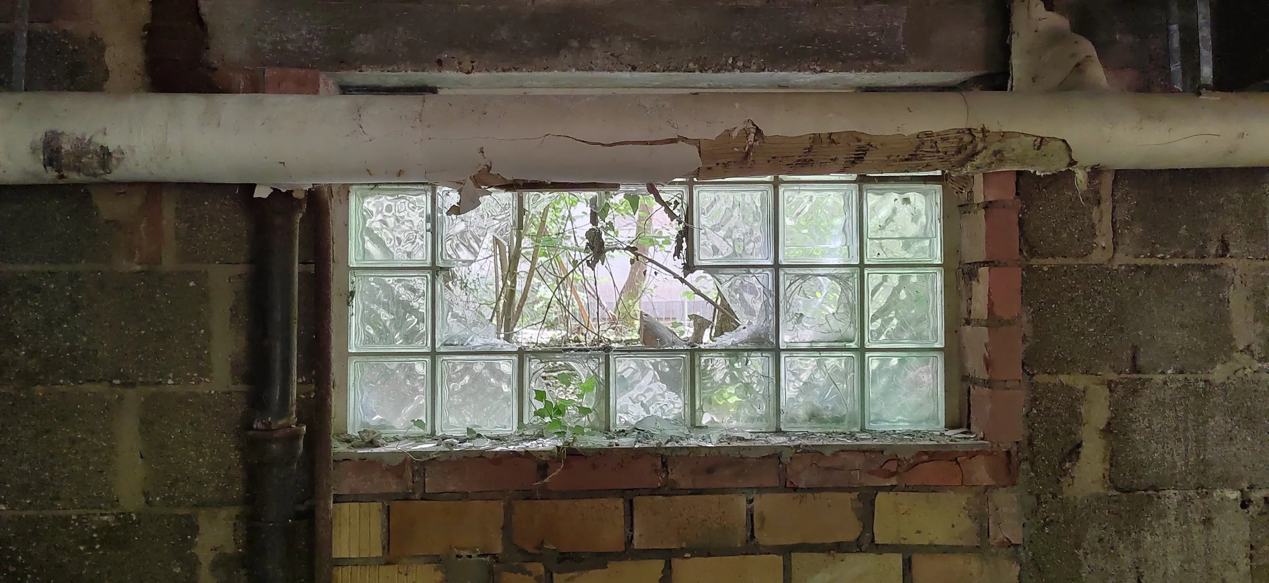 Alte, zerbrochene Fenster mit Glasbausteinen, durch die sichtbarer Garten mit Pflanzen und Blättern sichtbar ist, in einer bröckelnden Backsteinmauer, neben einem Rohr.