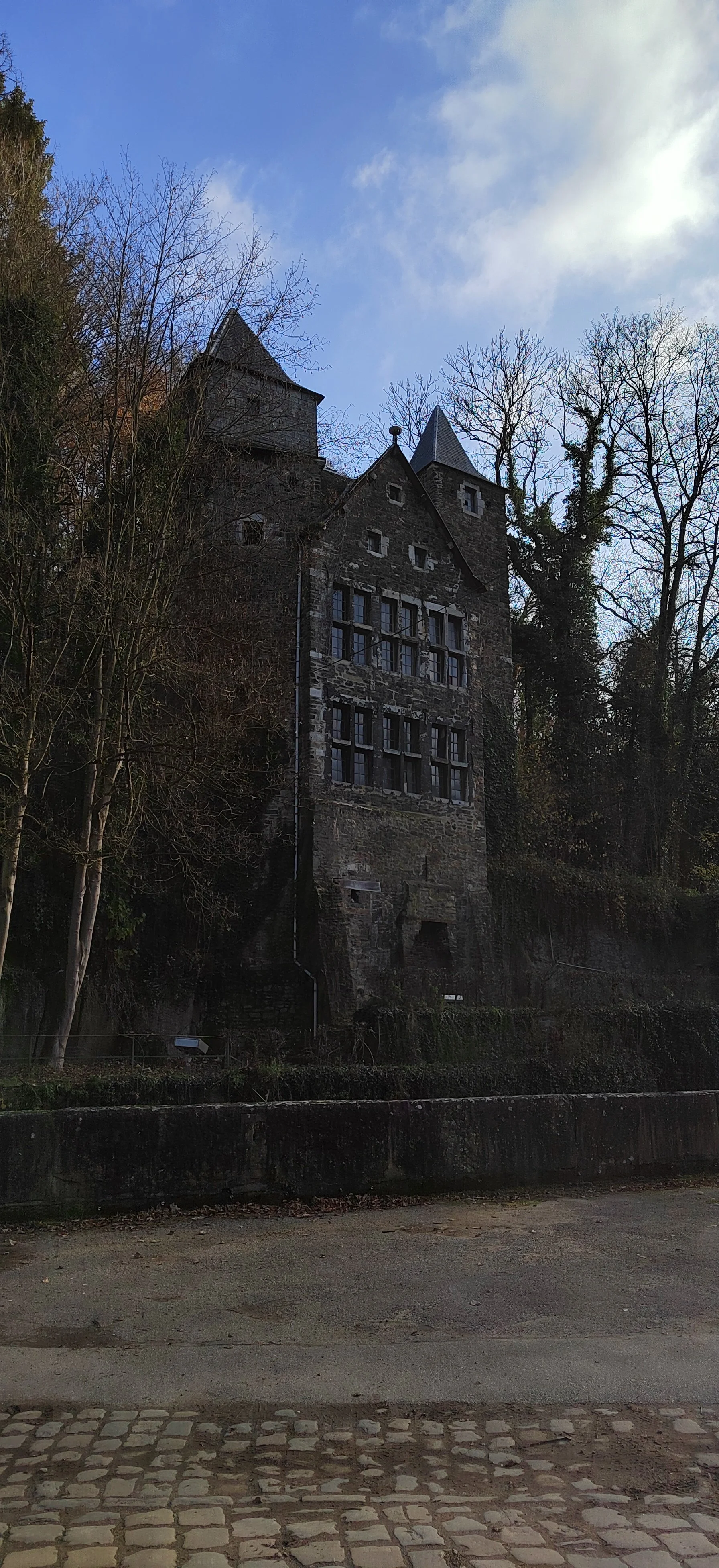Ein altes, gotisch anmutendes Gebäude auf einem Hang, umgeben von Bäumen ohne Blätter, bei bewölktem Himmel.