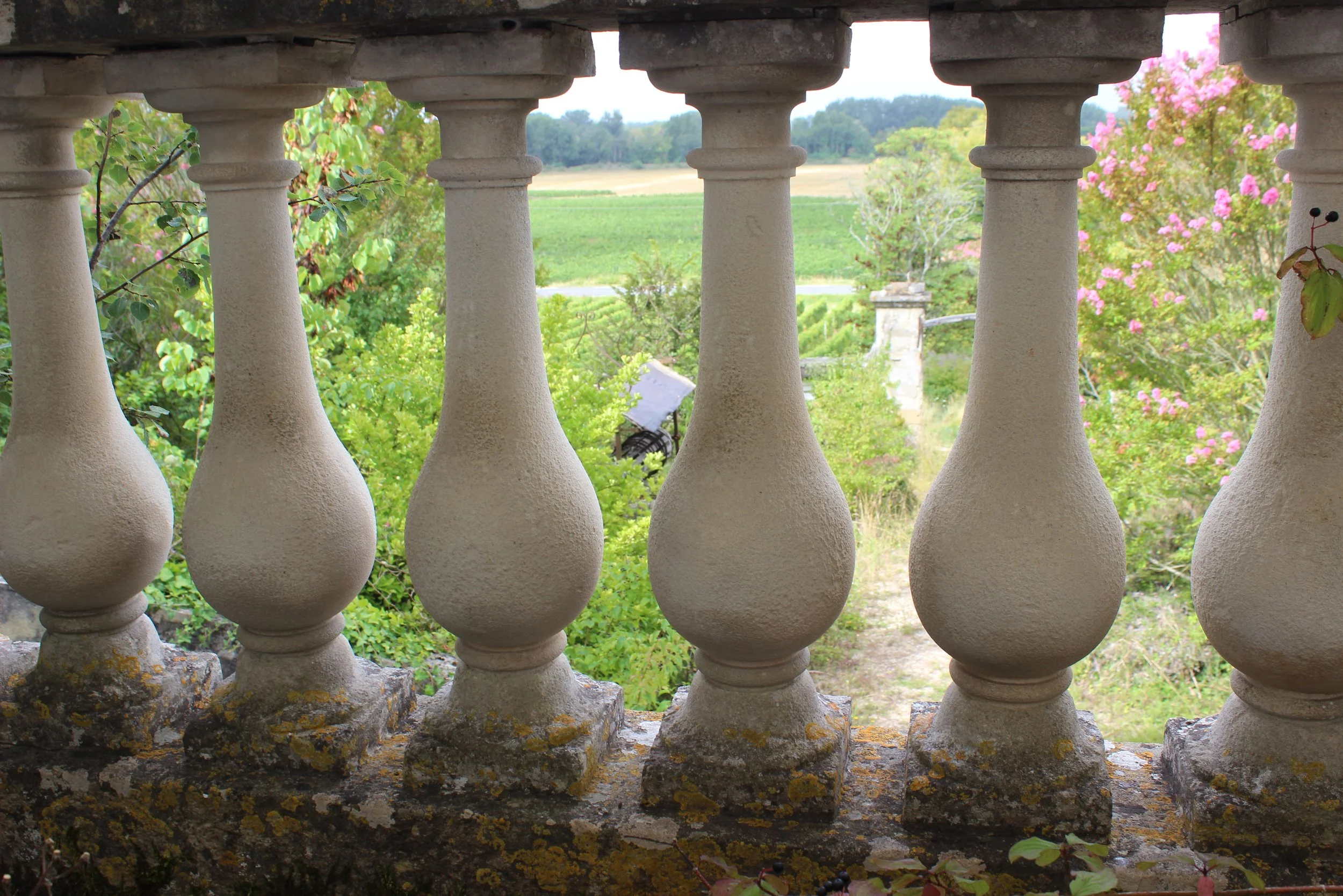 Blick durch eine Balkongeländer mit weißen Balustern auf eine grüne, ländliche Landschaft mit Bäumen und Feldern im Hintergrund.
