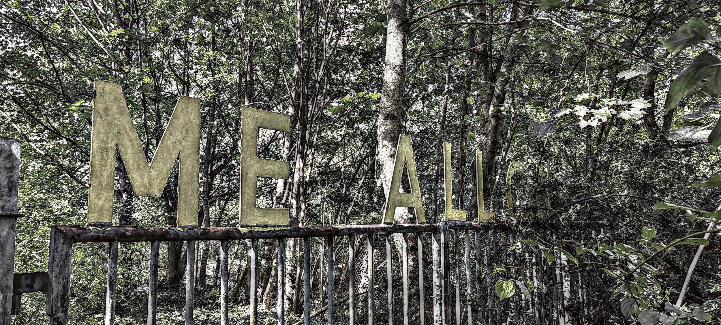 Das Bild zeigt ein verwittertes Metalltor mit der Aufschrift "MEAL" in großen, gelben Buchstaben, umgeben von dichtem, grünen Buschwerk und Bäumen.