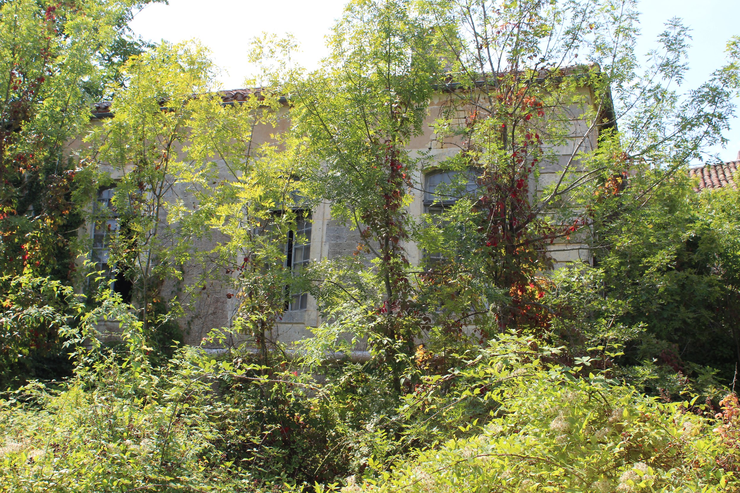 Ein altes Haus ist teilweise von Bäumen und Sträuchern im Garten überwuchert.