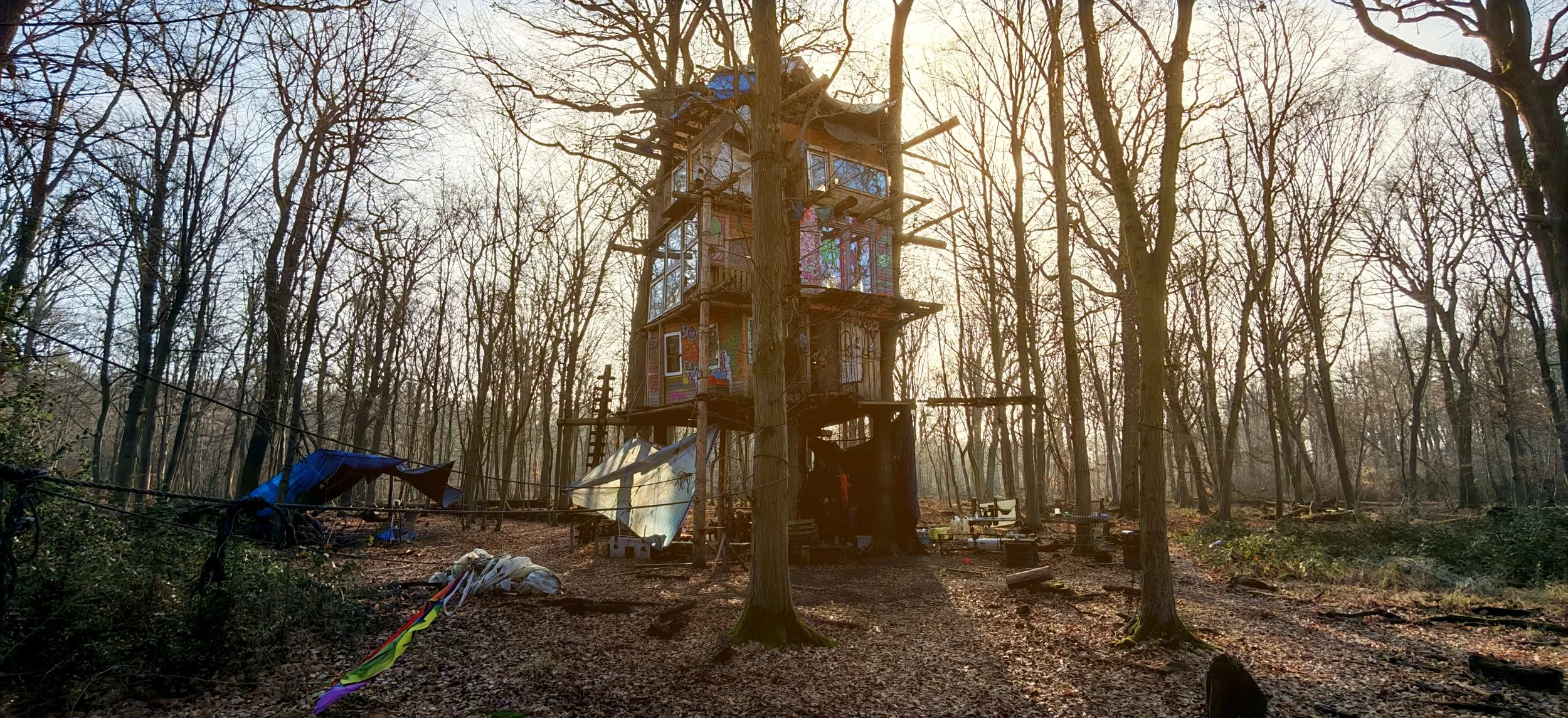 Ein Baumhaus in einem Wald, gestrichen mit bunten Graffiti, umgeben von vielen kahl gewordenen Bäumen, bei Sonnenaufgang oder Sonnenuntergang.