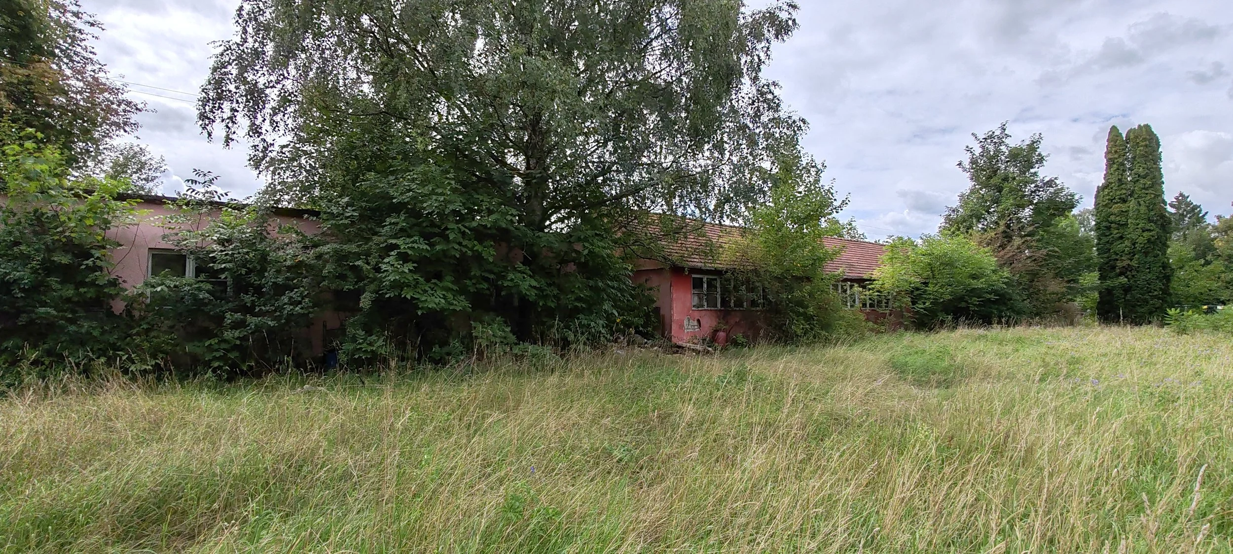 Verfallenes Haus mit roten Wänden, umgeben von überwucherndem Gras und dichten Bäumen, unter einem bewölkten Himmel.