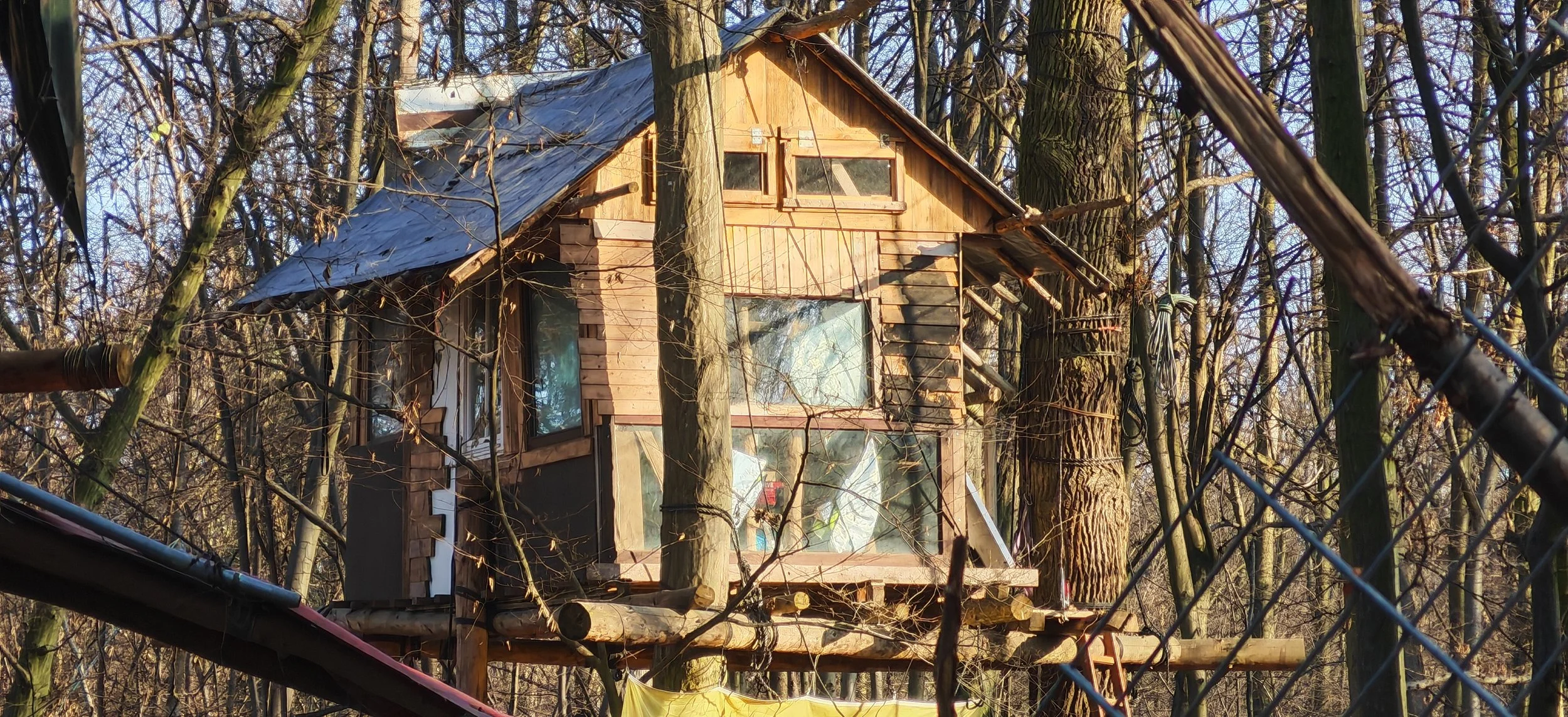 Ein Baumhaus im Wald mit Holzbau, Fenstern und Schneeschutz auf dem Dach, umgeben von Bäumen.
