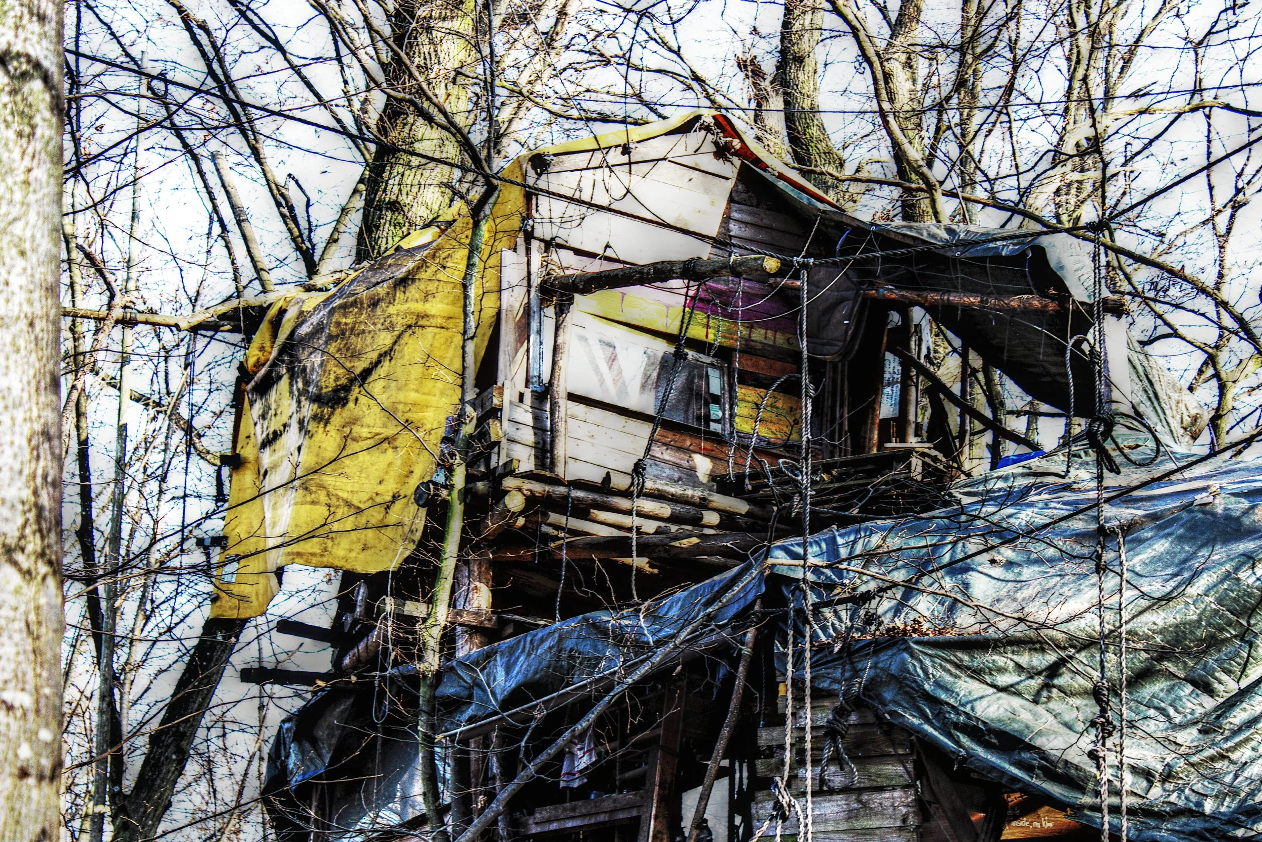 Ein Baumhaus auf einem Baum, gebaut aus Holz, Planen und Seilen, umgeben von Zweigen und Bäumen.