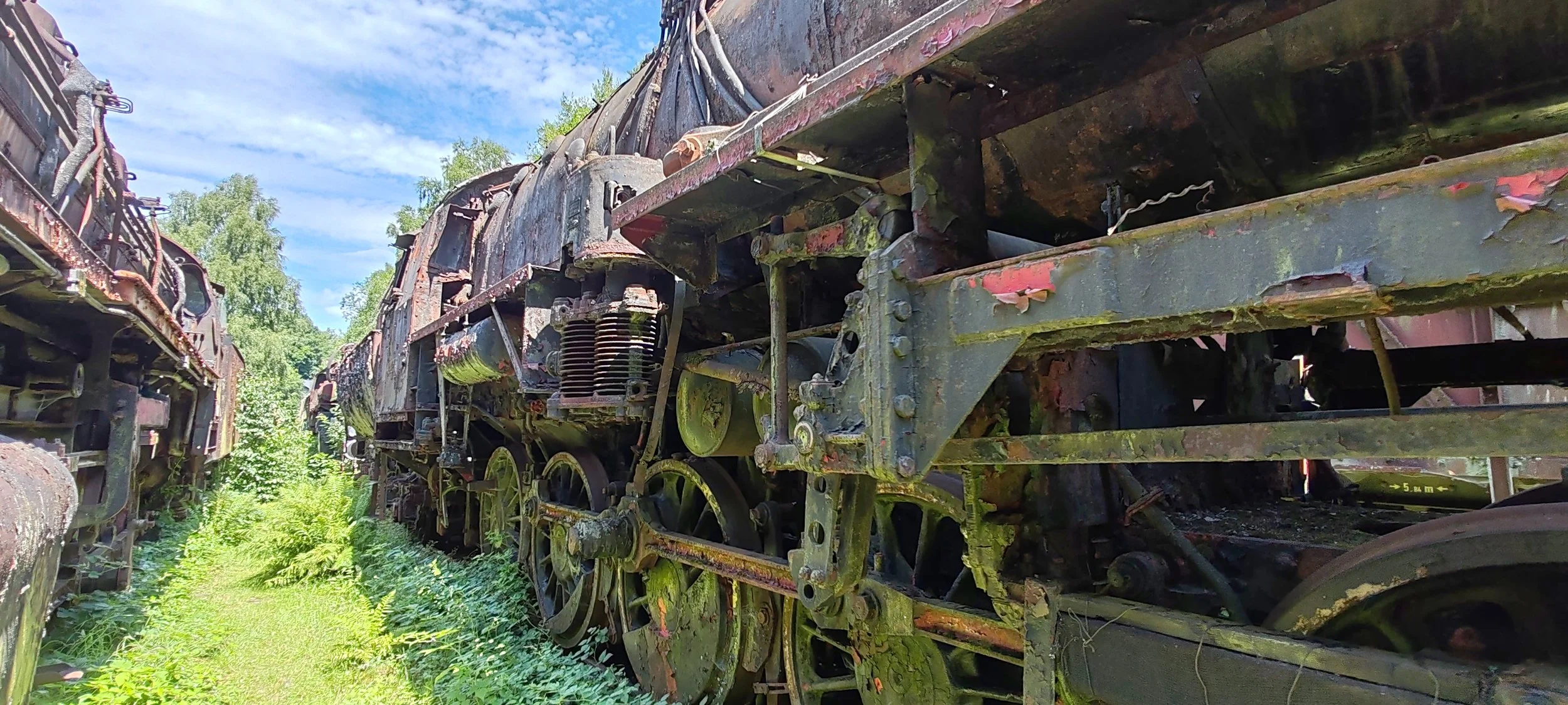 Alte, verrostete Dampflok auf einem Freigelände, umgeben von Grün und Bäumen, bei sonnigem Himmel.