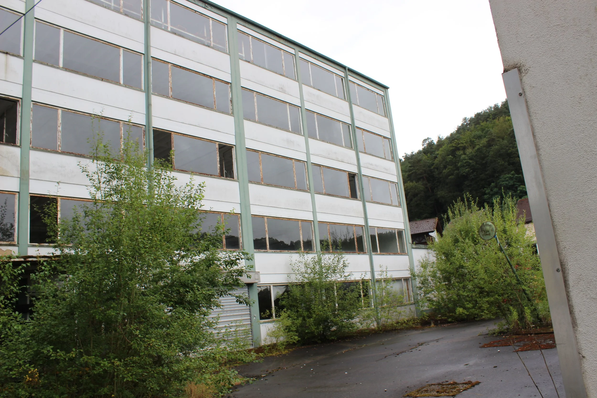 Ein verfallenes, vierstöckiges Gebäude mit großen Fenstern, einige Fenster sind zerbrochen. Im Vordergrund sind Bäume und Büsche, der Boden ist rissig und ungepflegt.