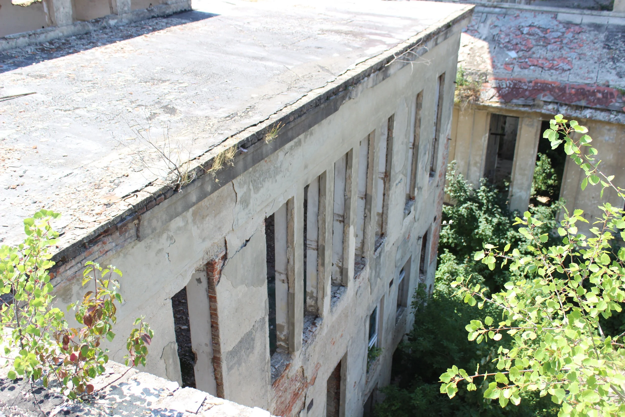 Ein unfertiges, verfallenes Gebäude mit leeren Fensteröffnungen, überwuchert von grünen Büschen und Bäumen.
