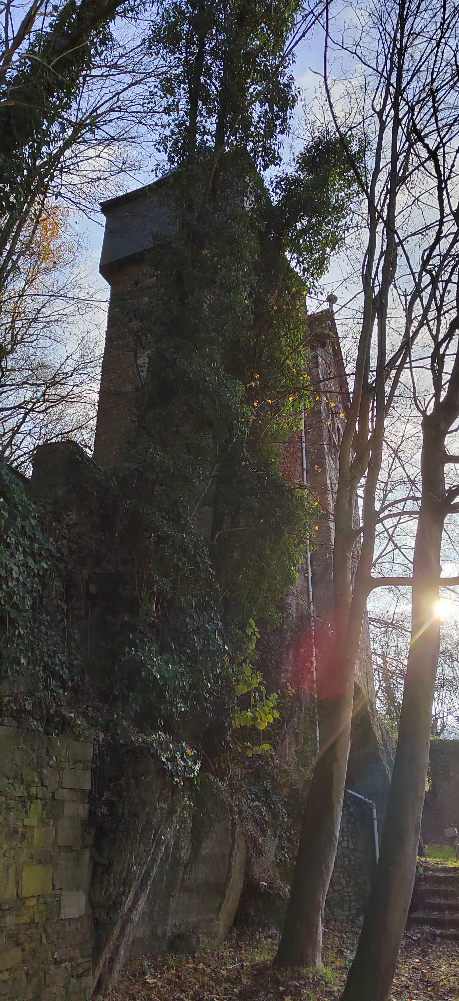 Ein alter, im Dämmerlicht stehender Turm, überwuchert von Efeu, umgeben von Bäumen ohne Blätter, mit Sonnenlicht, das durch die Äste scheint.