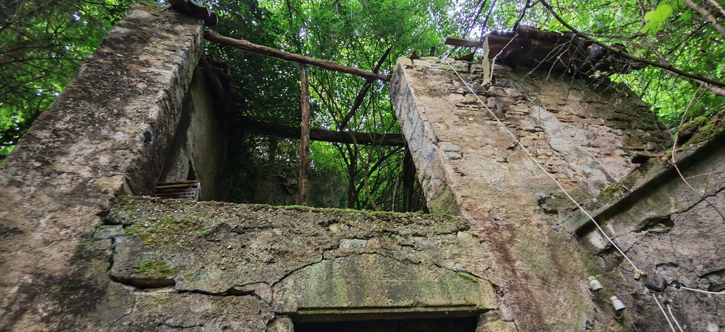 Alte verfallene Mauer im Wald, umgeben von grünen Bäumen und Pflanzen