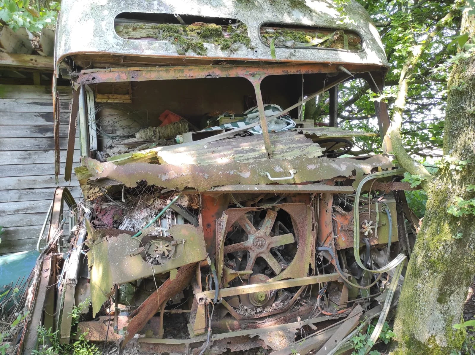 Ein verrosteter und zerfallener Oldtimer-Bus im Freien, umgeben von Bäumen und Büschen.