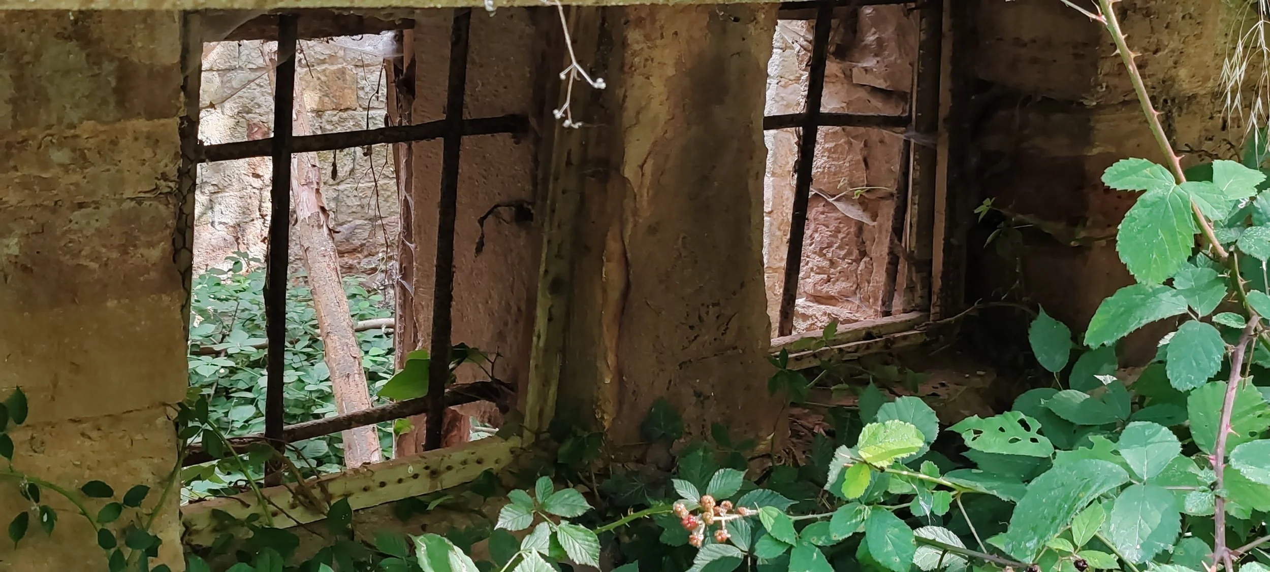 Ein verfallenes Gebäude mit rostigen Gitterfenstern und Pflanzen, die durch die Fensterläden wachsen.