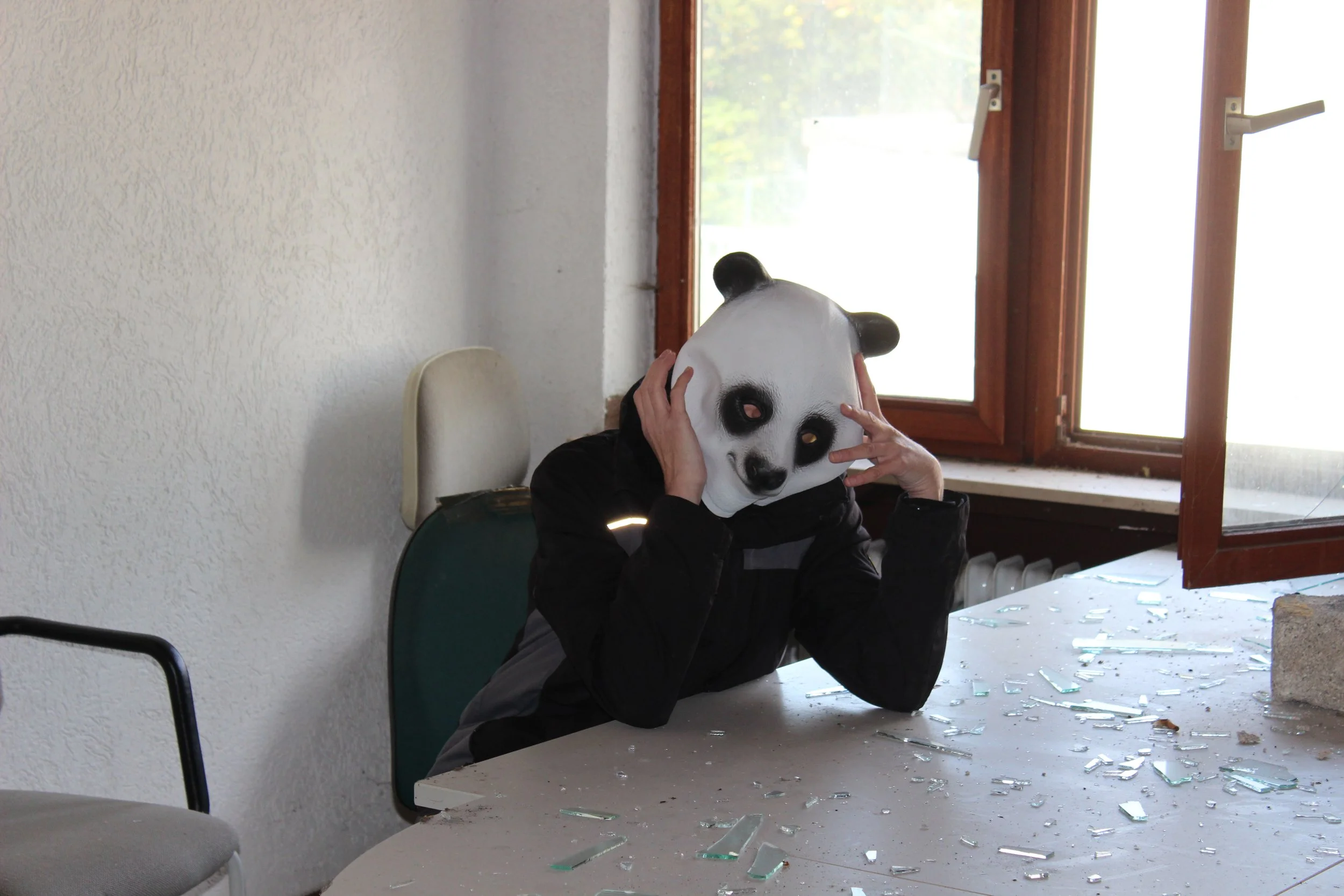 Person trägt eine Panda-Maske und sitzt an einem Tisch, auf dem zerbrochene Glasscherben liegen, in einem Raum mit offenen Fenstern.