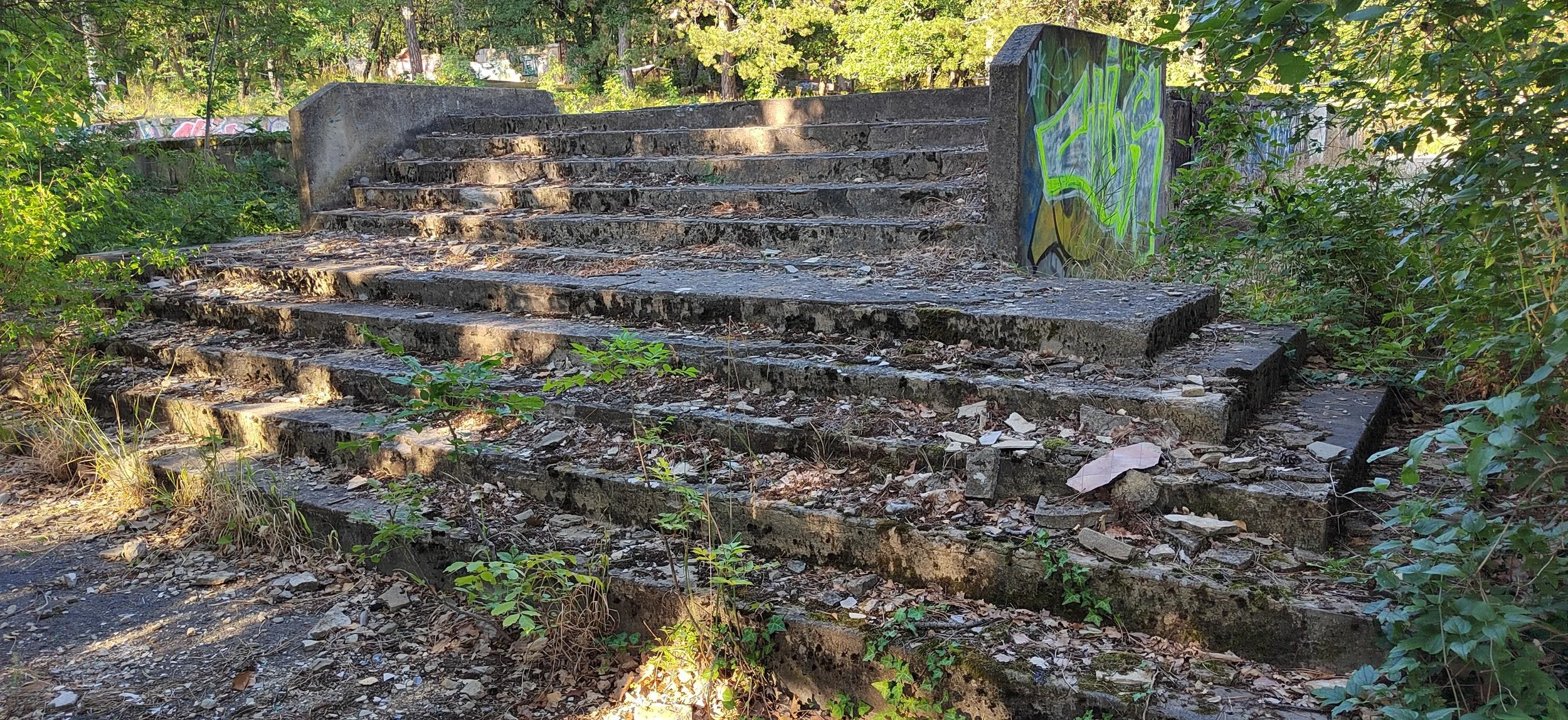 Verfallene, mit Graffiti bemalte Stufen im Freien, umgeben von Vegetation.