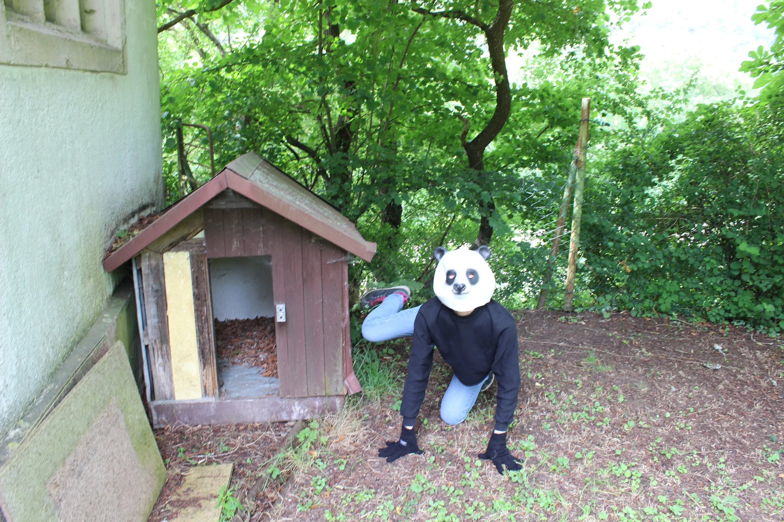 Person mit Panda-Maske in einem Garten neben einem kleinen Hundehäuschen auf dem Boden, umgeben von Bäumen und Sträuchern.