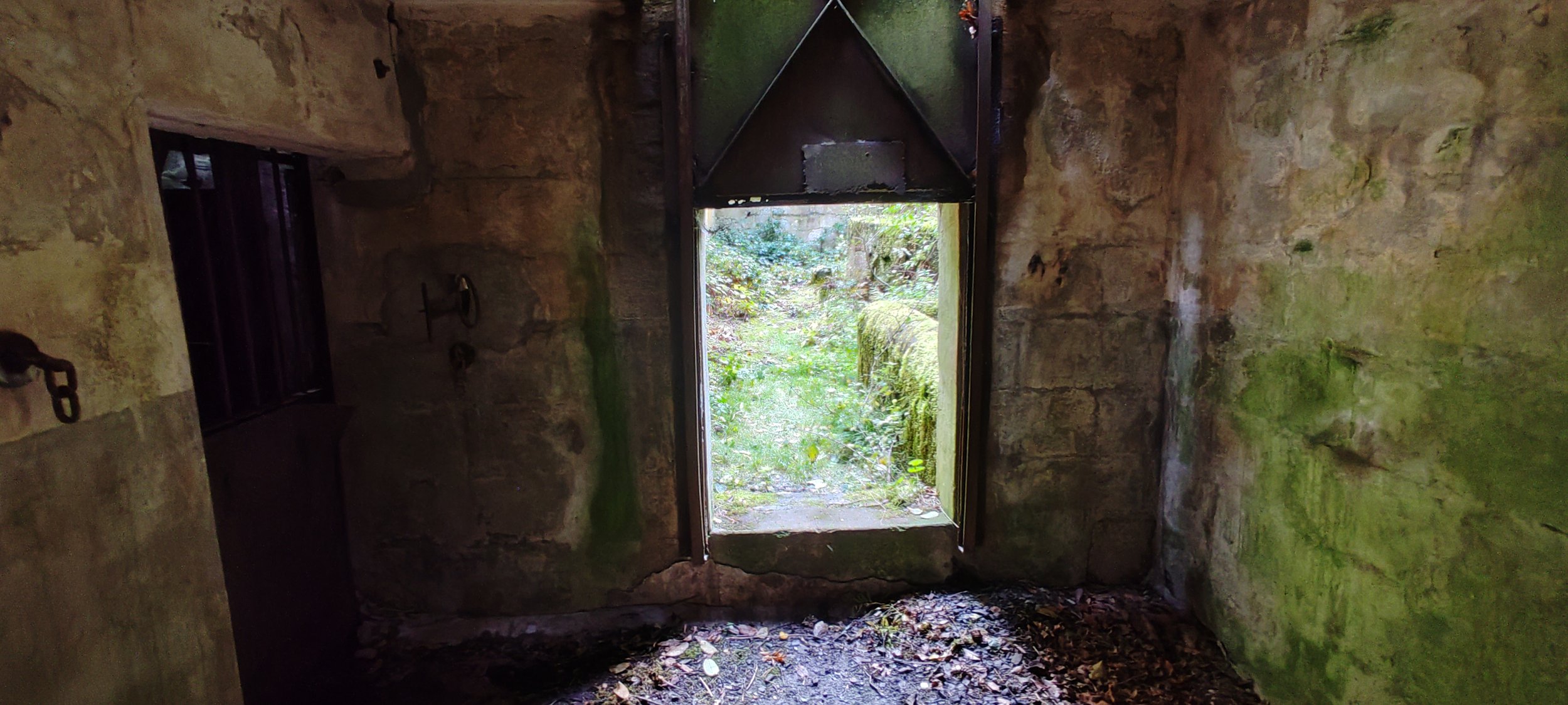 Blick durch eine offene Tür in eine alte, moosbedeckte Steinkammer mit einem Blick ins Grüne nach draußen.