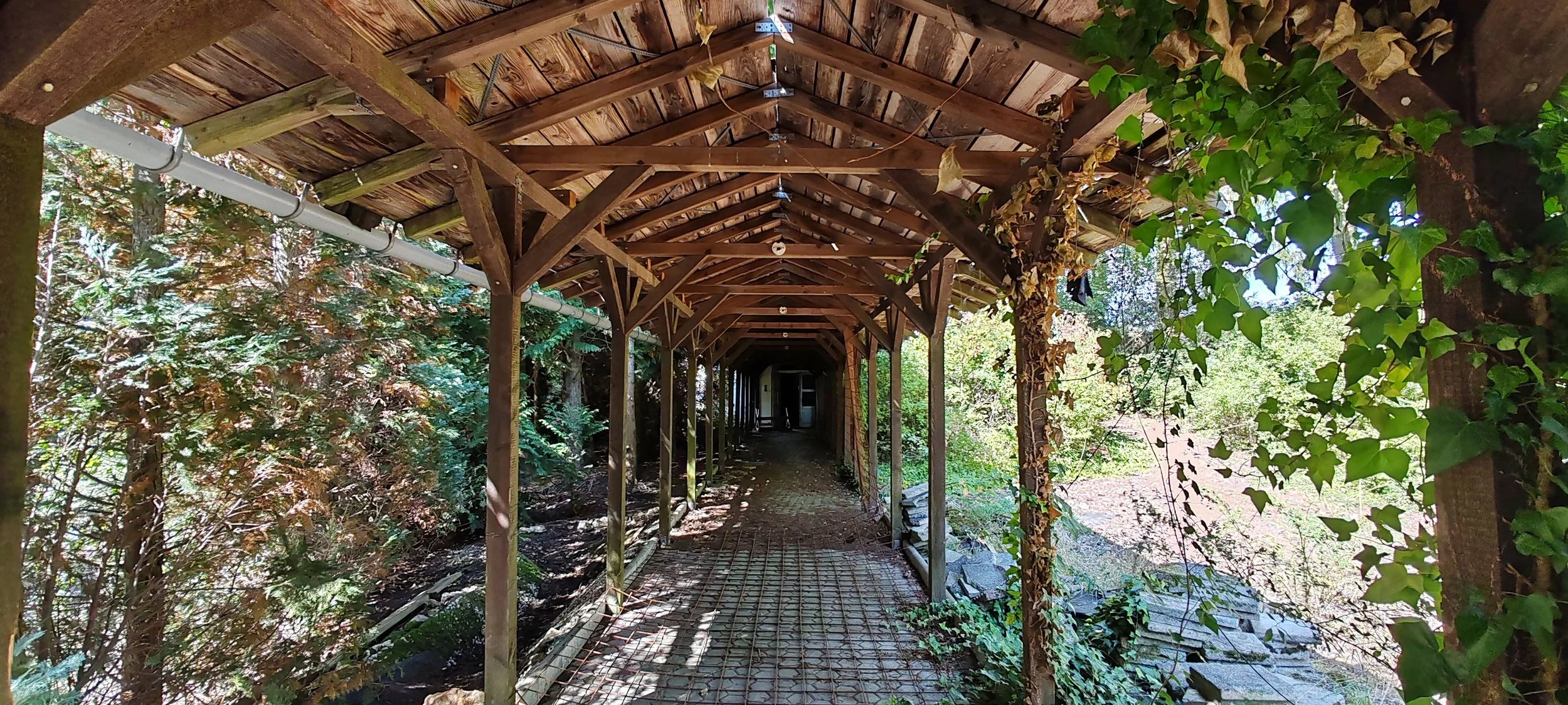 Ein hölzerner Tunnel oder Gehweg mit Dach, umgeben von grünen Büschen und Bäumen, Sonne scheint durch die Blätter, v-linieförmiger Aufbau, türkisfarbener Rohr auf der linken Seite.
