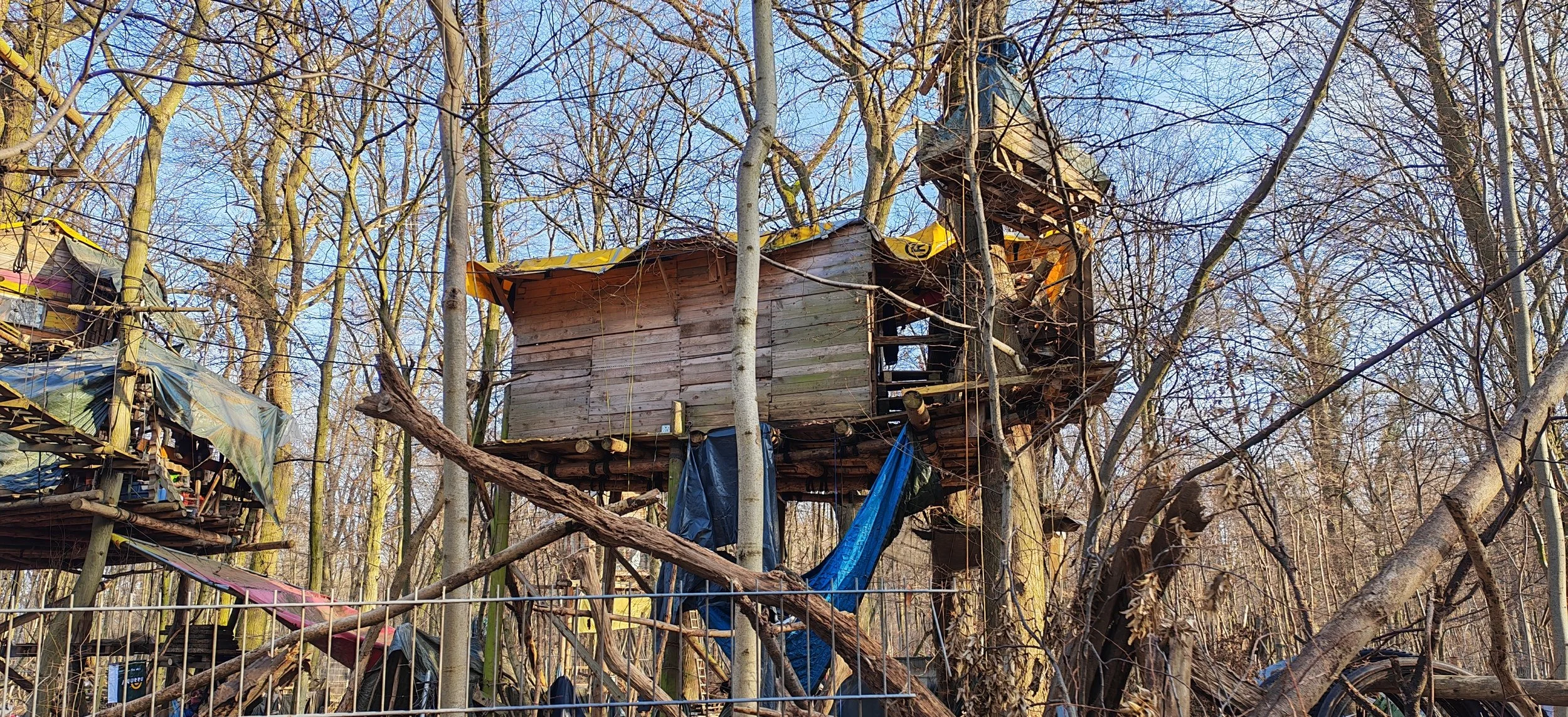 Ein Baumhaus in einem Wald, gebaut auf mehreren Bäumen, mit einer hölzernen Außenwand und einer gelben Plane auf dem Dach, umgeben von kahlen Bäumen im Winter.