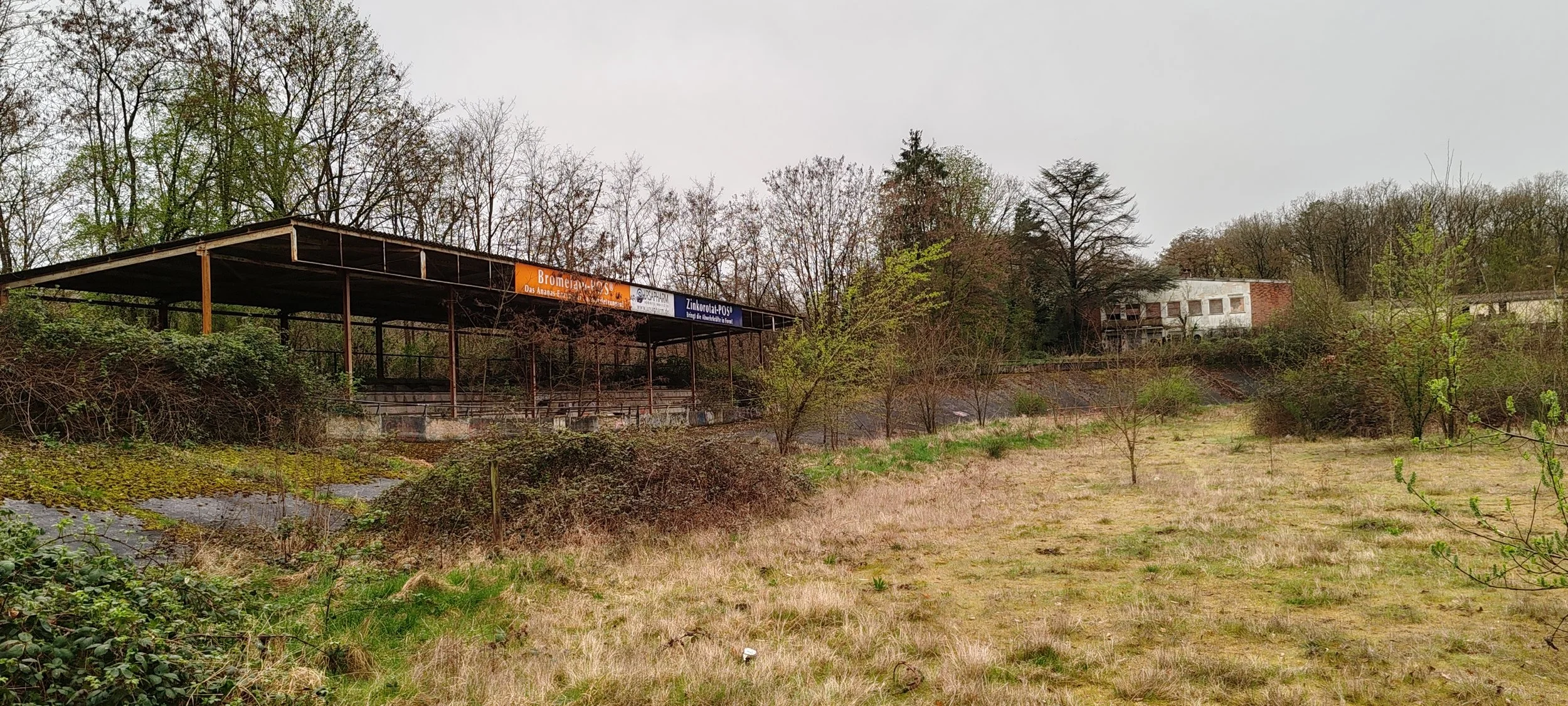 Verlassene, verrostete Sporttribüne auf einem Hügel, umgeben von Gestrüpp und Bäumen, mit verfallenen Gebäuden im Hintergrund, an einem trüben, bewölkten Tag.