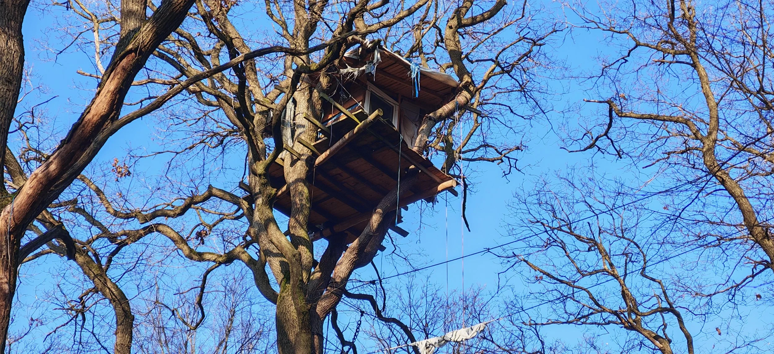 Ein Vogelhaus ist auf einem großen Baum ohne Blätter, umgeben von vielen Ästen. Das Vogelhaus besteht aus Holz und ist auf mehreren Ebenen gebaut, mit einem kleinen Balkon. Der Himmel im Hintergrund ist klar und blau.