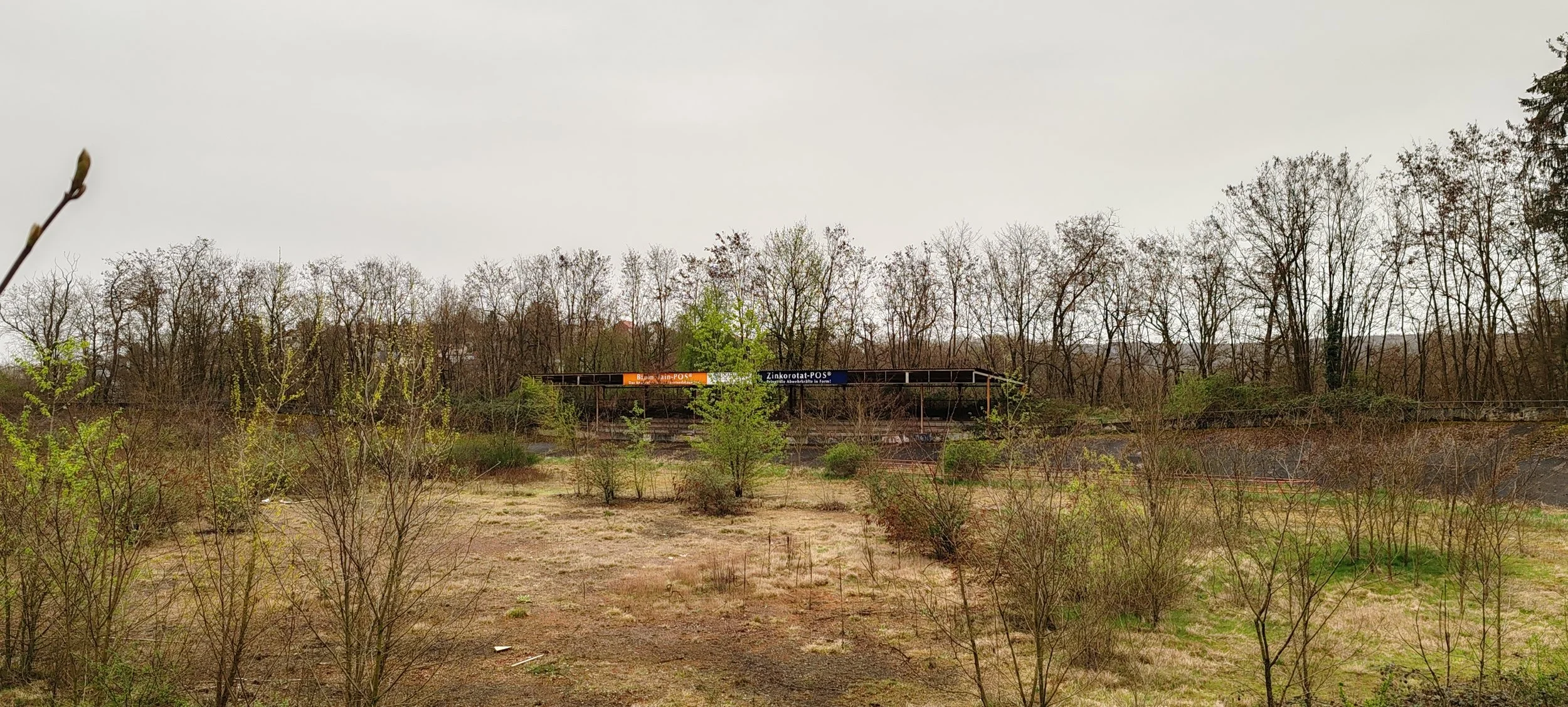 Leere Parkfläche mit Büschen und Bäumen, im Hintergrund Bahngleis mit Signal- und Hinweisschildern, sowie ein Waldbereich.