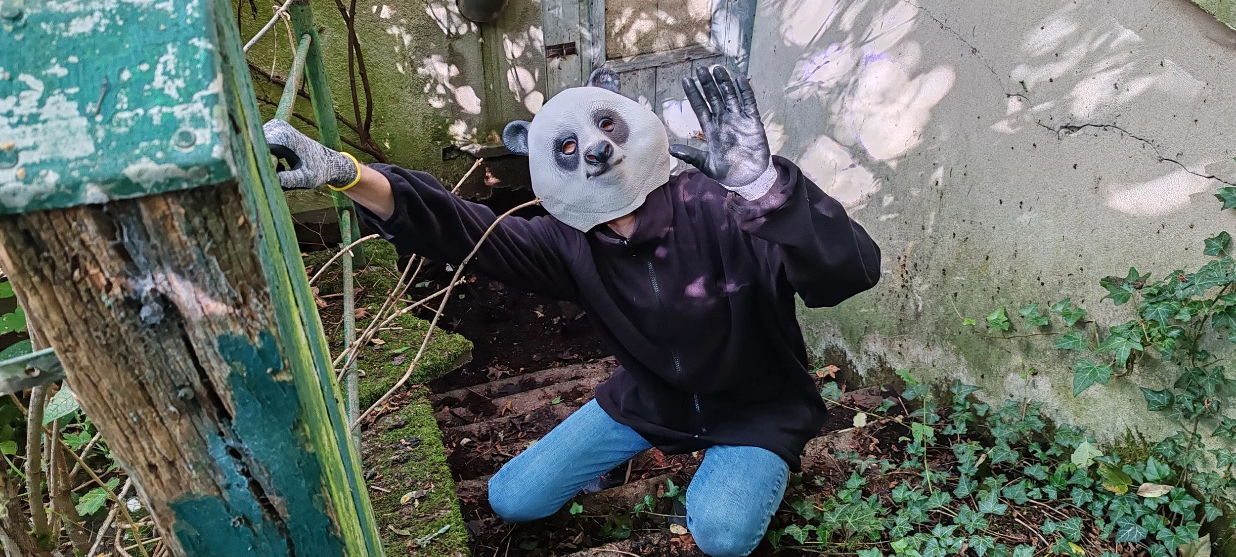 Eine Person trägt eine Affenmaskerade, trägt schwarze Kleidung und blaue Jeans, und befindet sich im Freien neben einem Baum und einer Mauer.