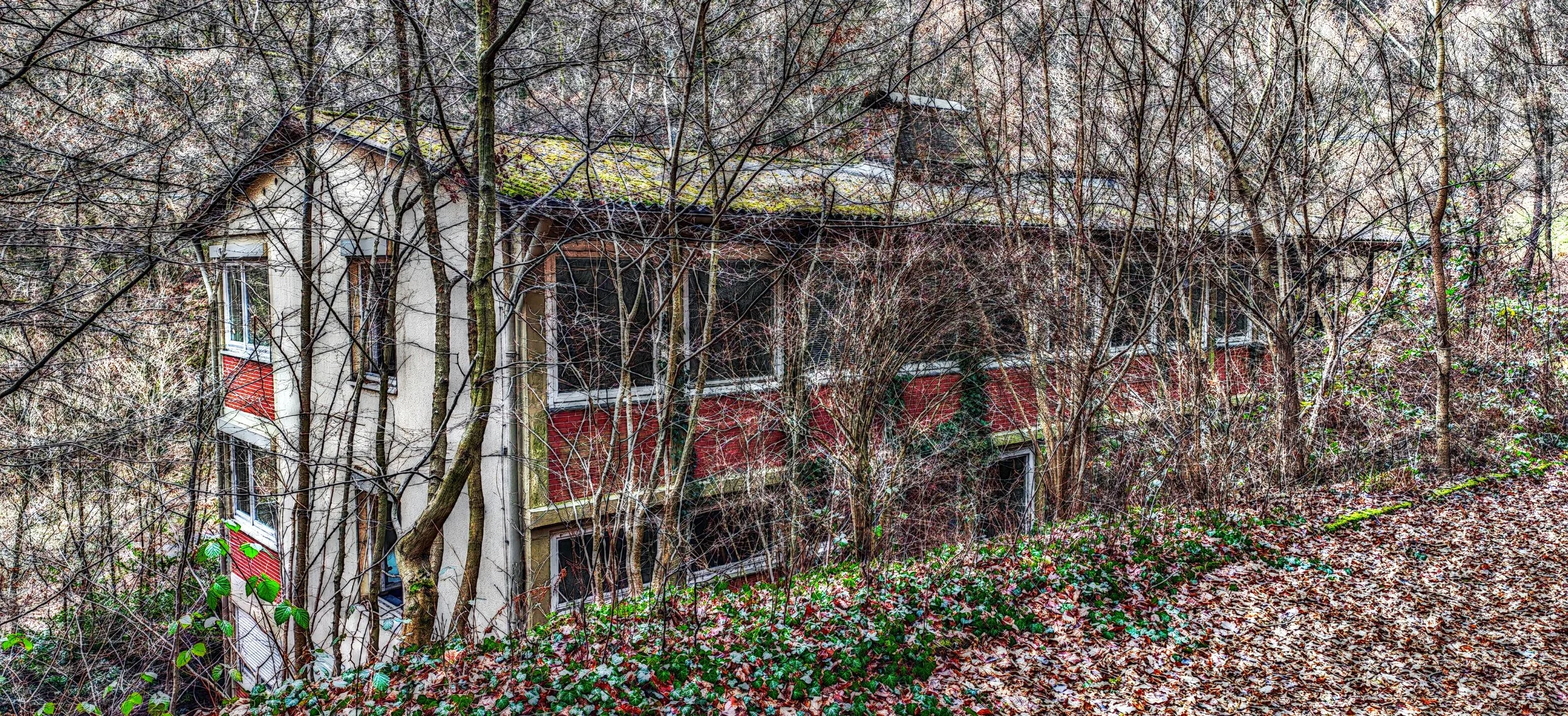 Verfallenes Gebäude, überwuchert von Bäumen und Vegetation, mit beschmierter Fassade und gesprenkeltem Laub auf dem Boden.