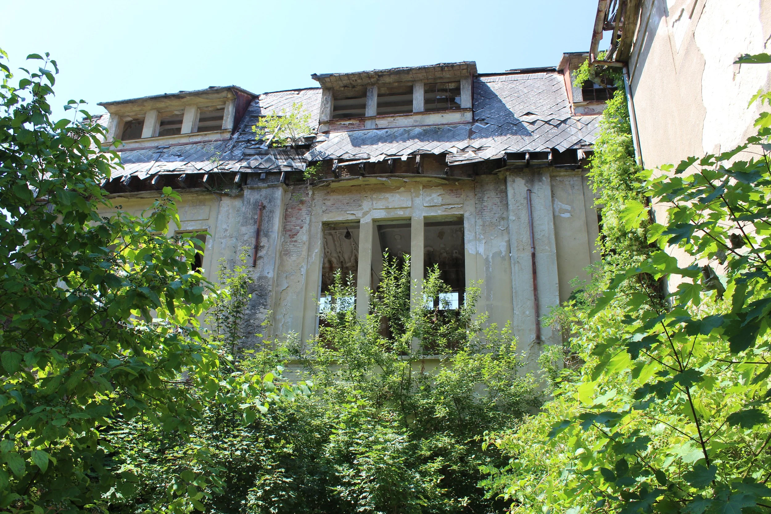 Verfallenes, verfallenes Haus mit kaputter Dach und umgeben von grünen Büschen und Bäumen.