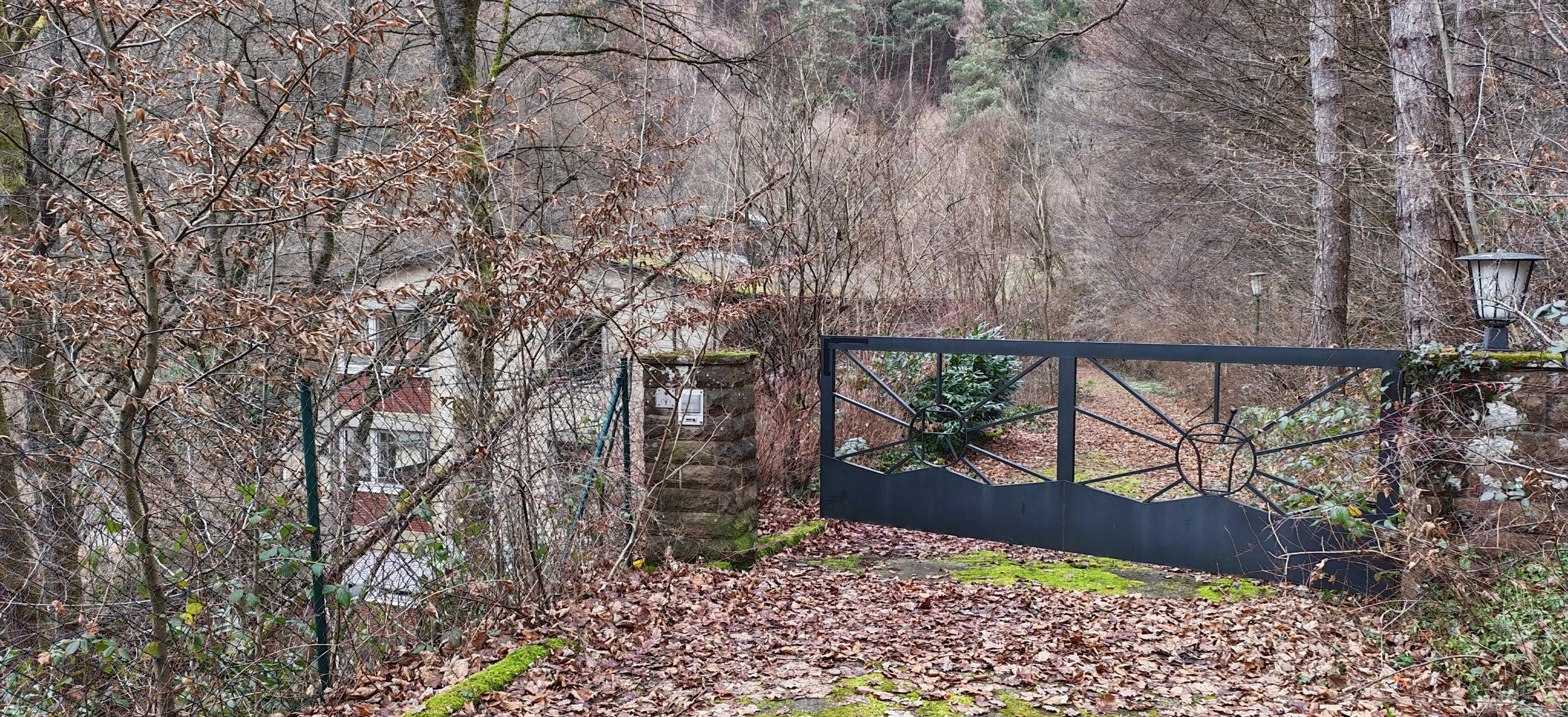 Ein verschmutzter Weg mit Laub bedeckt, ein schwarzes schmiedeeisernes Gartentor, umgeben von Bäumen und Sträuchern, mit einer Hausmauer im Hintergrund.