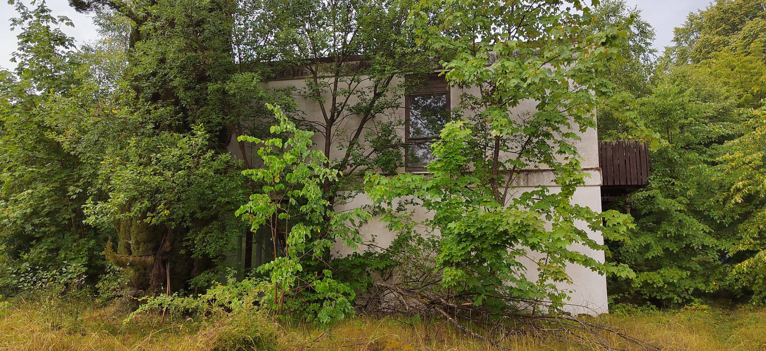 Ein verfallenes Haus, fast vollständig von Gras, Büschen und Bäumen überwuchert, in einer ländlichen Umgebung.