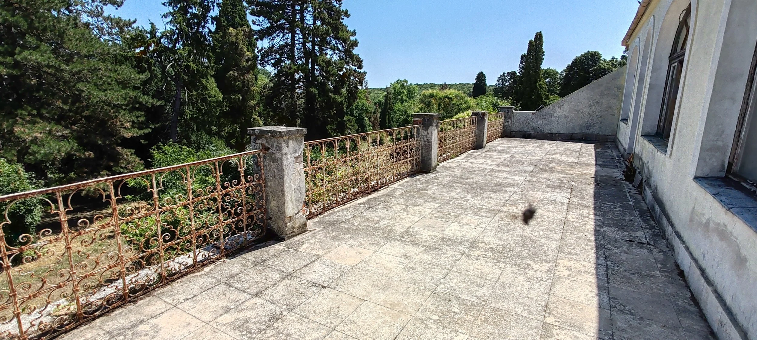 Ein Balkon mit betonierten Bodenflächen, einer verrosteten Metall-Geländer und einer alten, weißen Gebäudefassade mit mehreren Fenstern. Im Hintergrund sind grüne Bäume und ein blauer Himmel sichtbar.