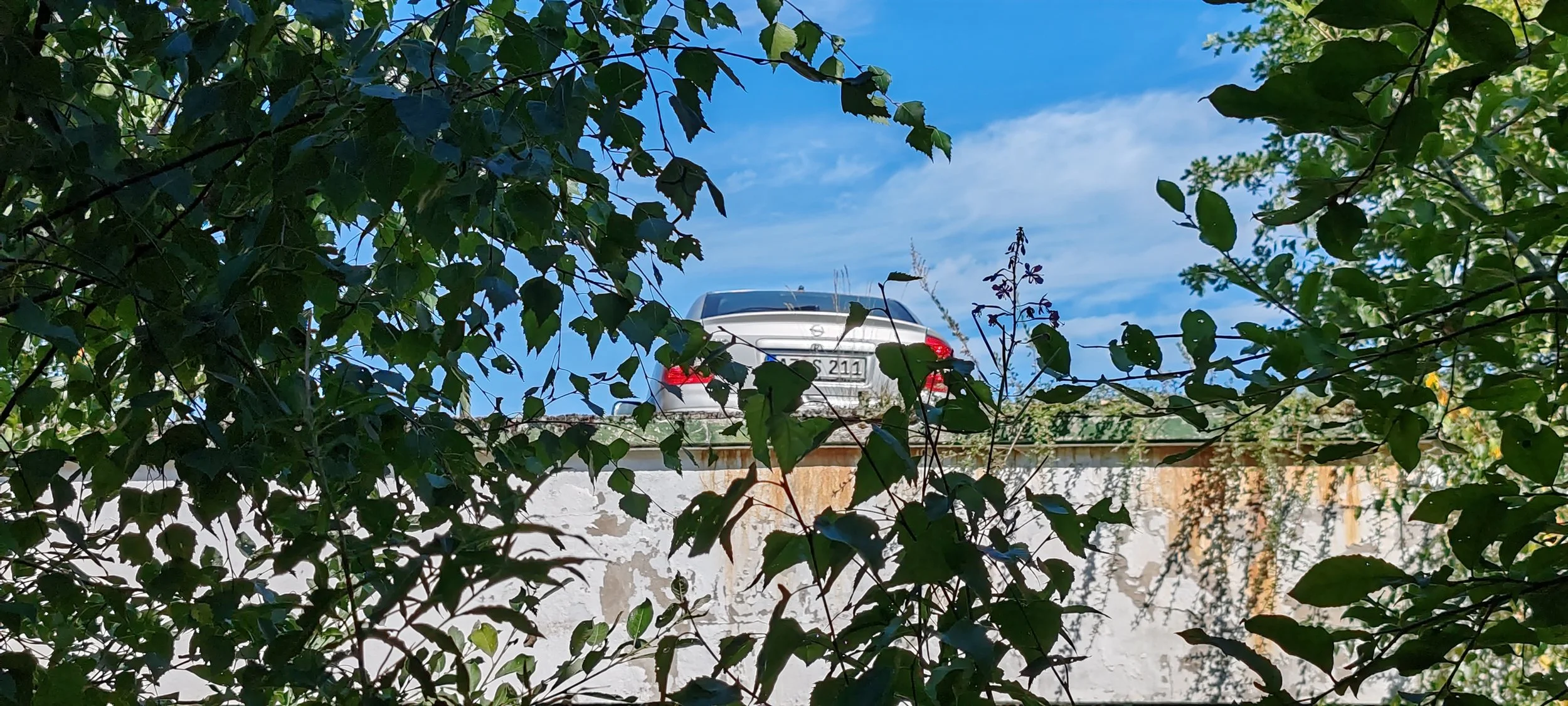 Ein Auto fährt auf einer Straße, sichtbar durch Blätter und Zweige, bei sonnigem Himmel.