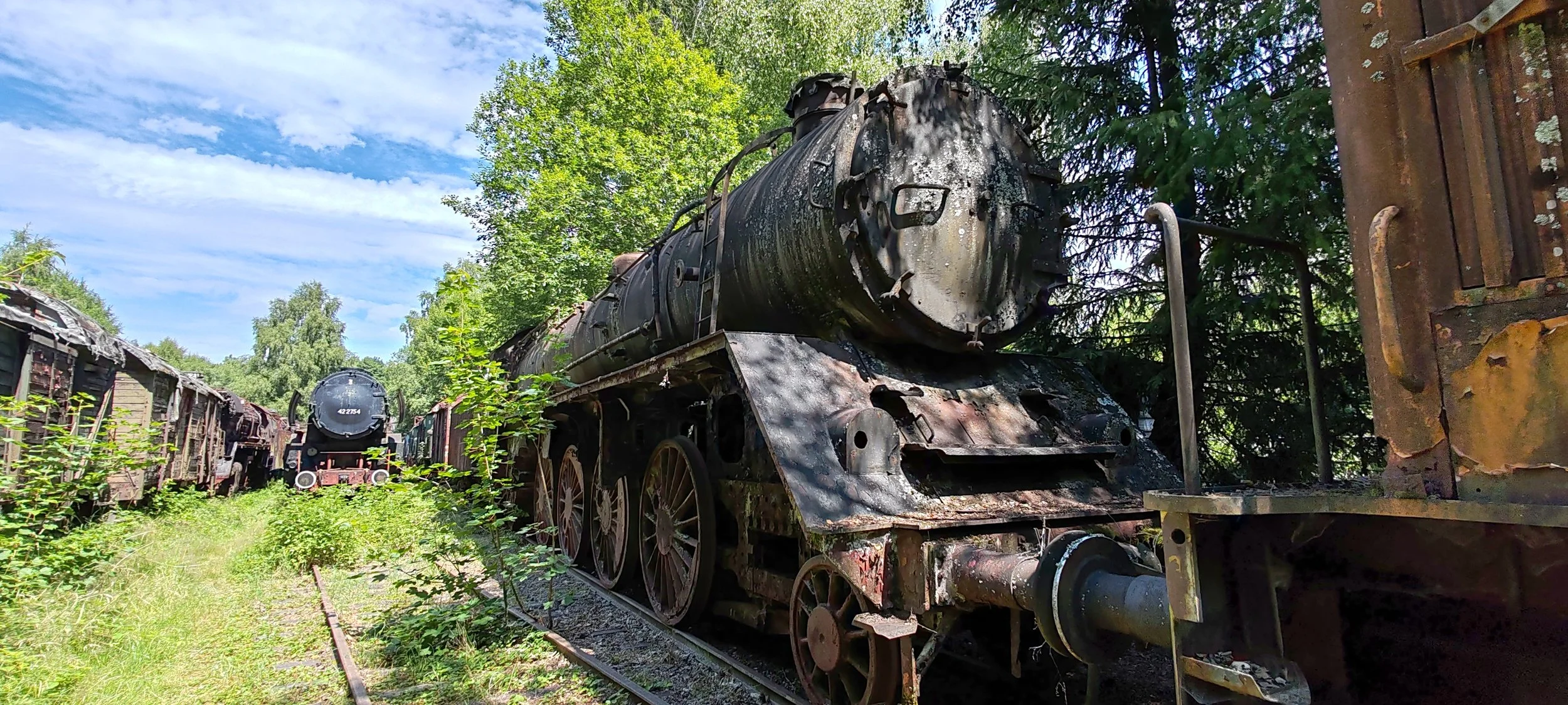 Verrostete alte Dampflokomotive auf verfallenen Schienen, umgeben von wilden Pflanzen, im Freien bei sonnigem Himmel.