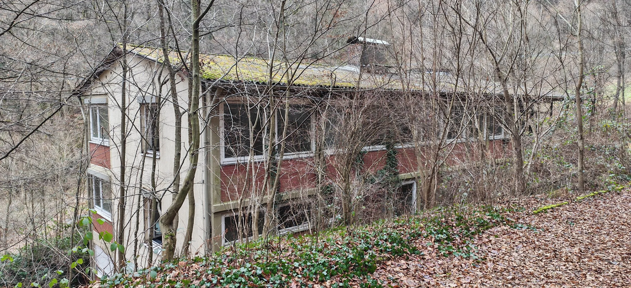 Ein mehrstöckiges Haus, das im Wald versteckt ist, umgeben von Bäumen ohne Blätter und einem Laubhaufen auf dem Boden.