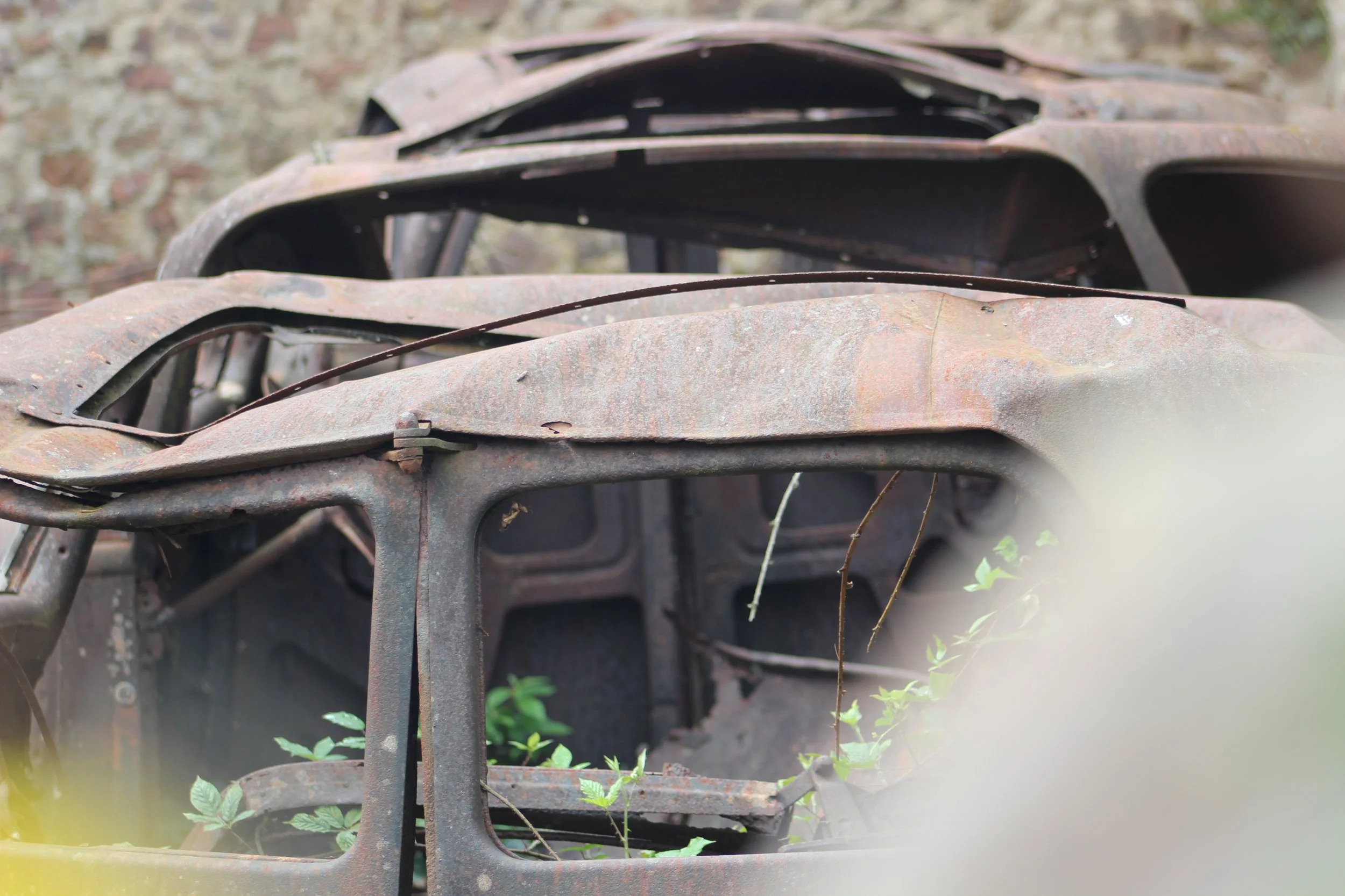 Verrostete, verlassene Autowrack mit Pflanzen, im Freien.
