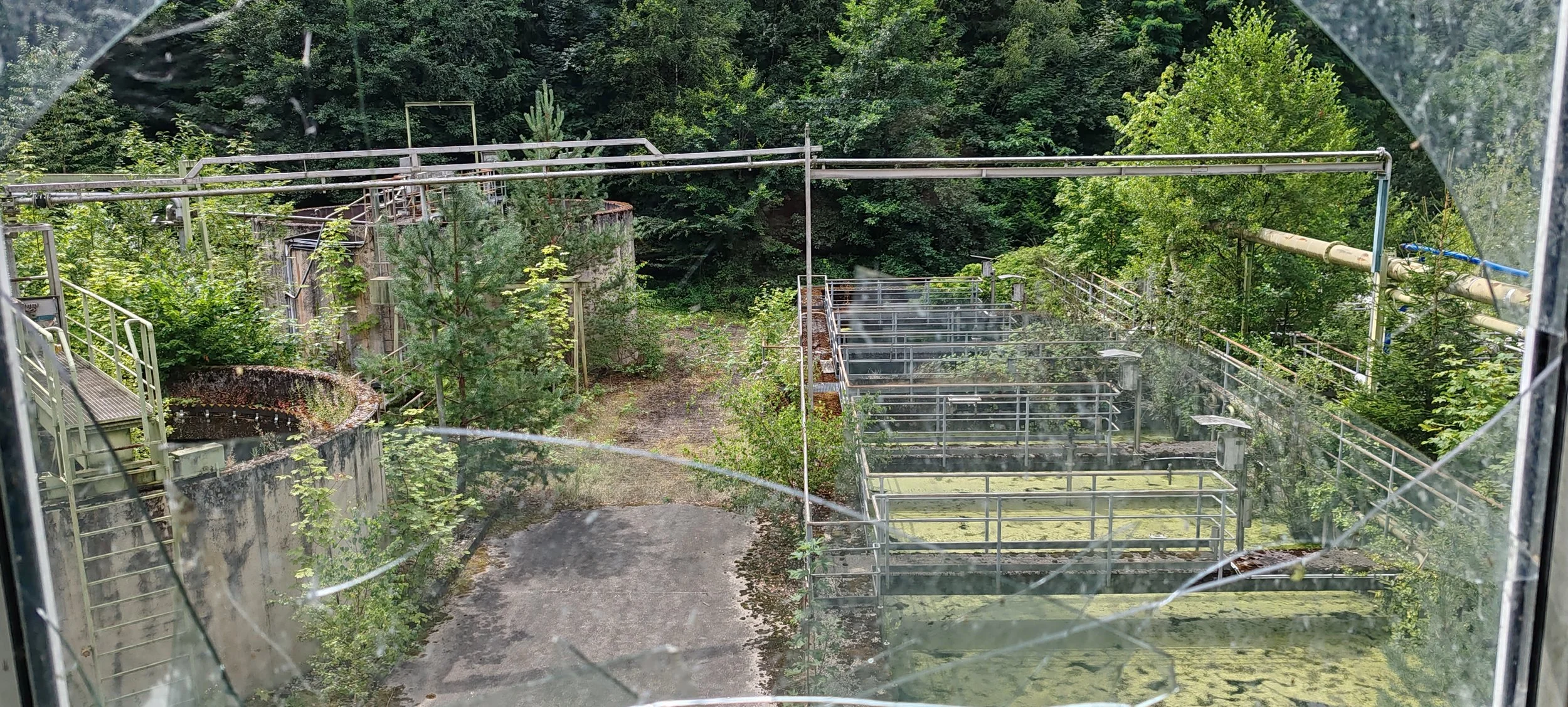 Blick durch eine kaputte Glasscheibe auf eine verlassene Industrieanlage mit Wasserbecken, Rohrleitungen und umwachsenden Pflanzen, umgeben von dichtem grünen Wald.