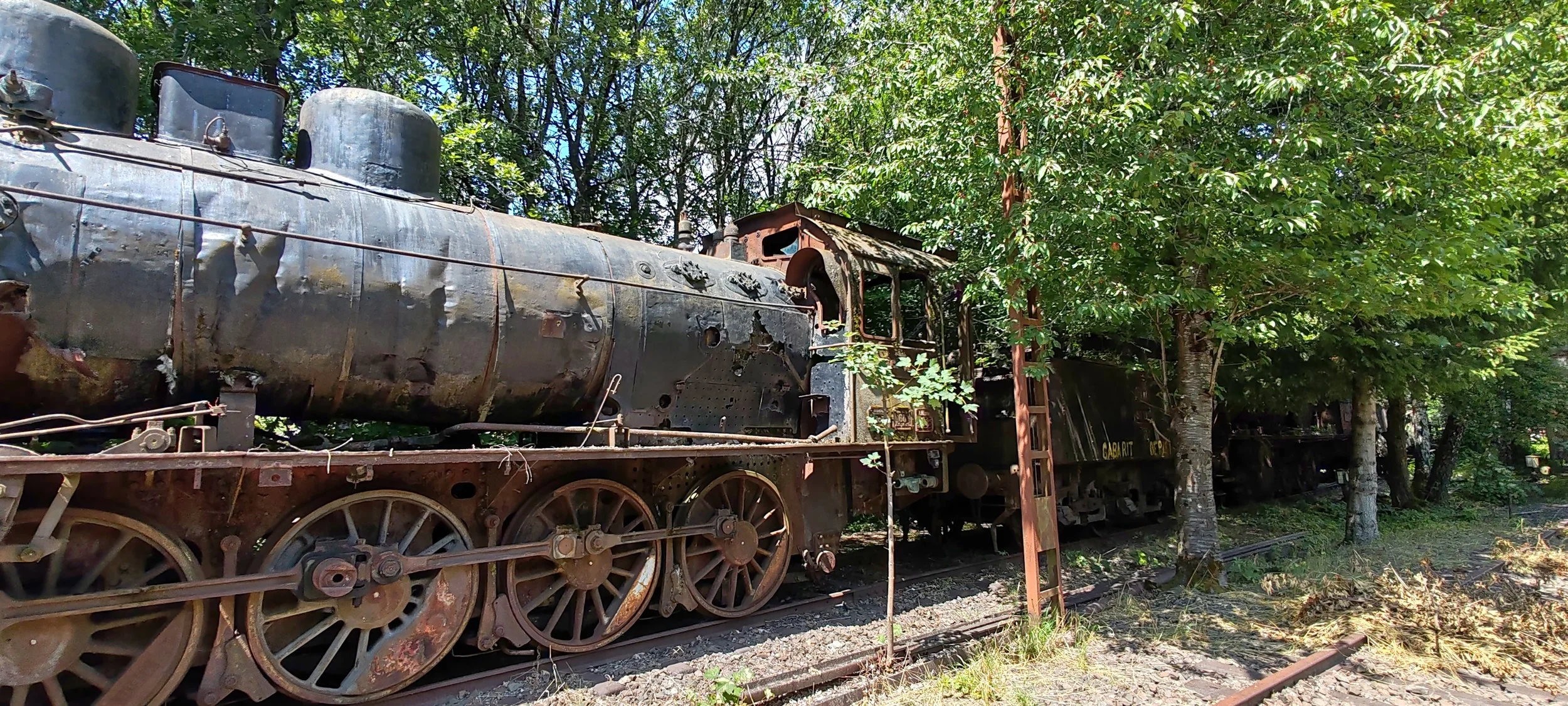 Ein verrosteter, alte Dampflokomotive steht auf einem Eisenbahn-Gleis, umgeben von grünen Bäumen.