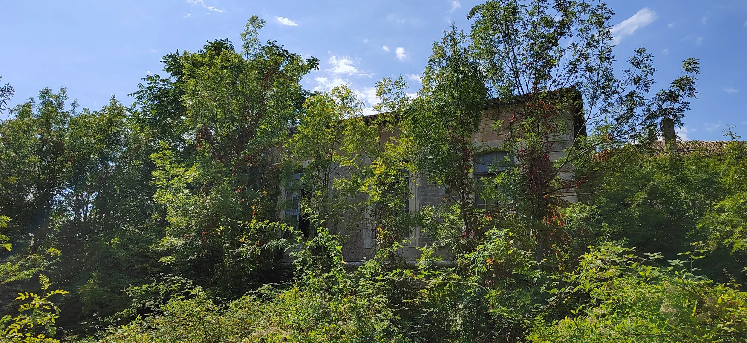 Ein altes Haus ist teilweise von Bäumen und Sträuchern verdeckt, unter einem blauen Himmel mit wenigen Wolken.
