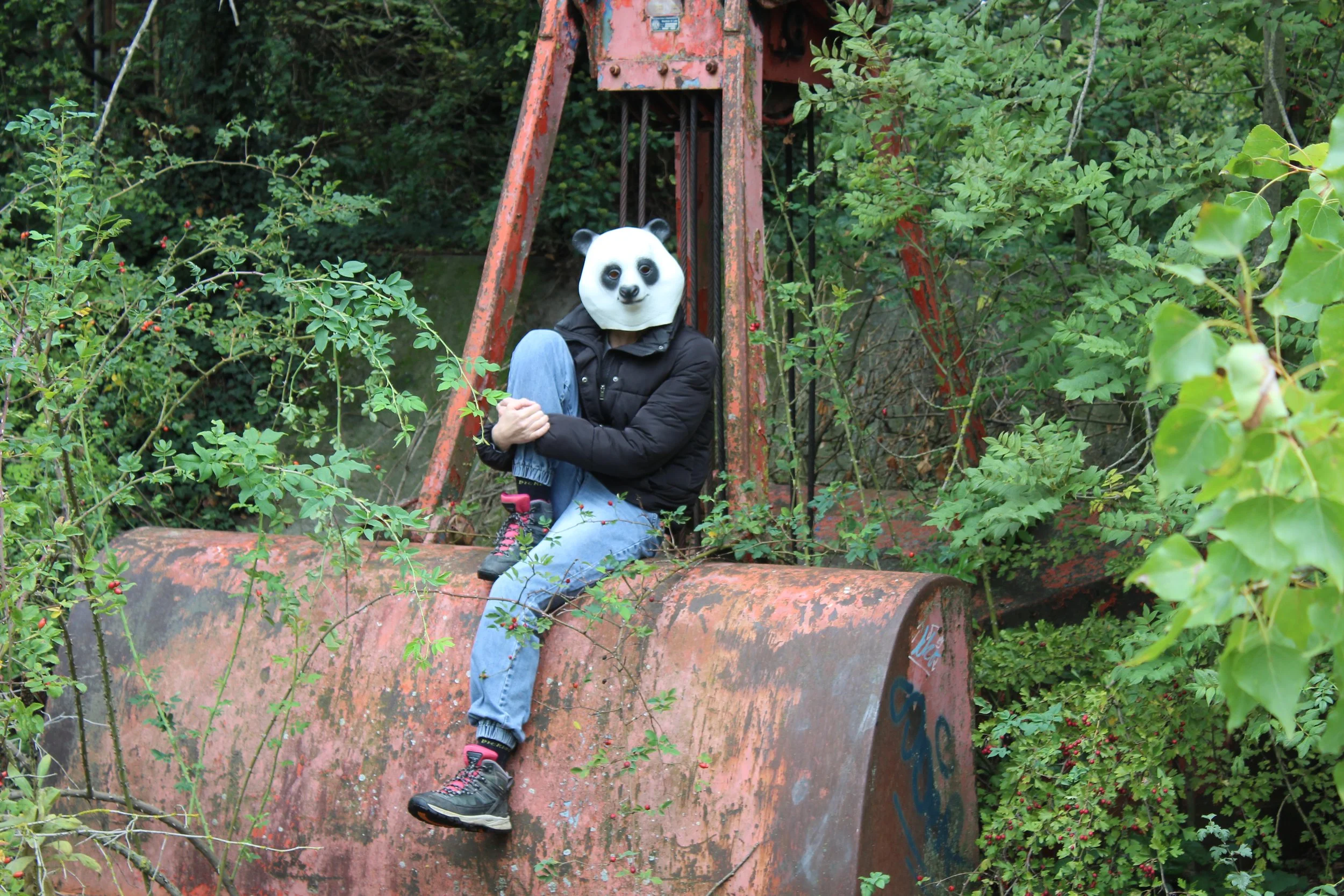 Person mit Pandamaske sitzt auf einem verrosteten, grünen Abraumgerät in einer Waldlandschaft, umgeben von grünen Sträuchern und Bäumen.