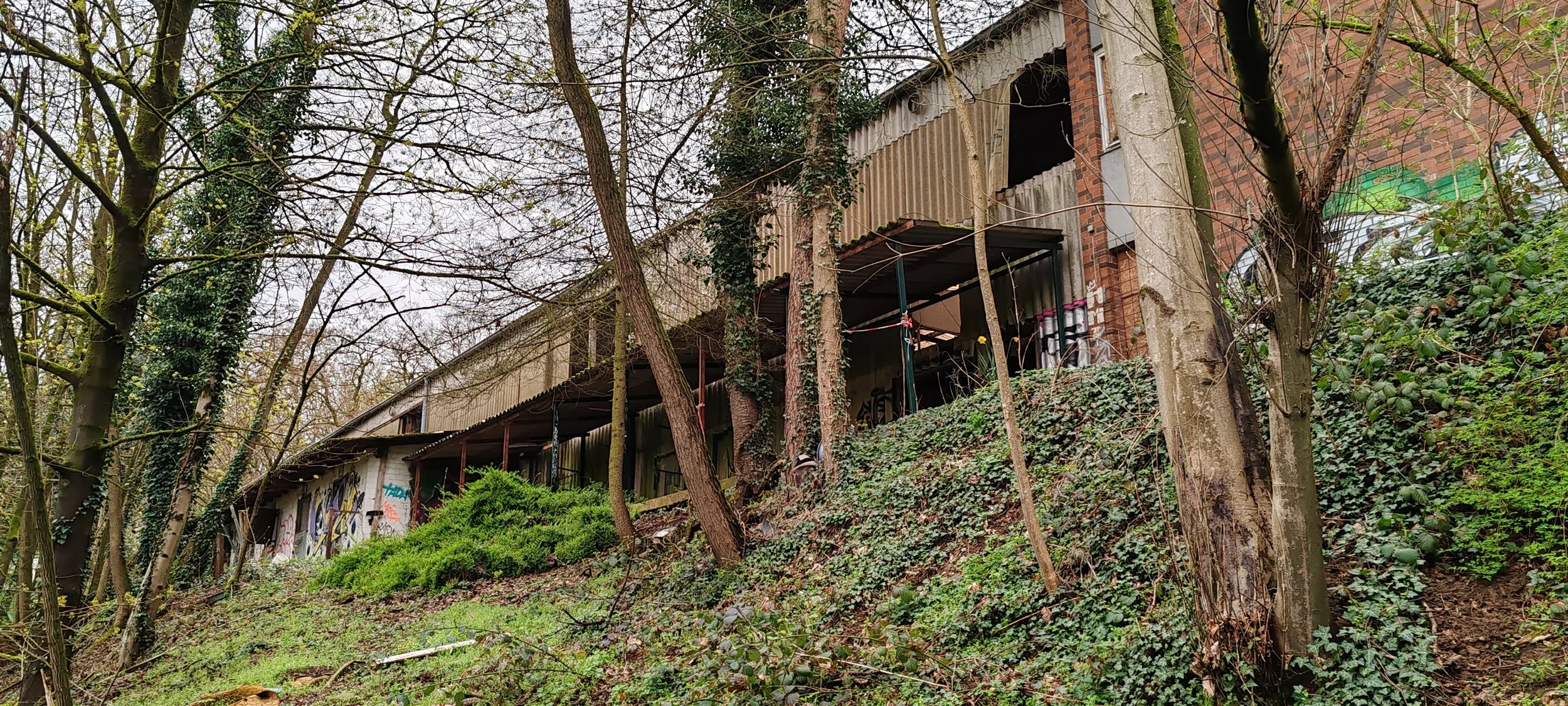 Verfallenes Gebäude im Wald mit Graffiti an der Wand, umgeben von Bäumen und Gestrüpp.