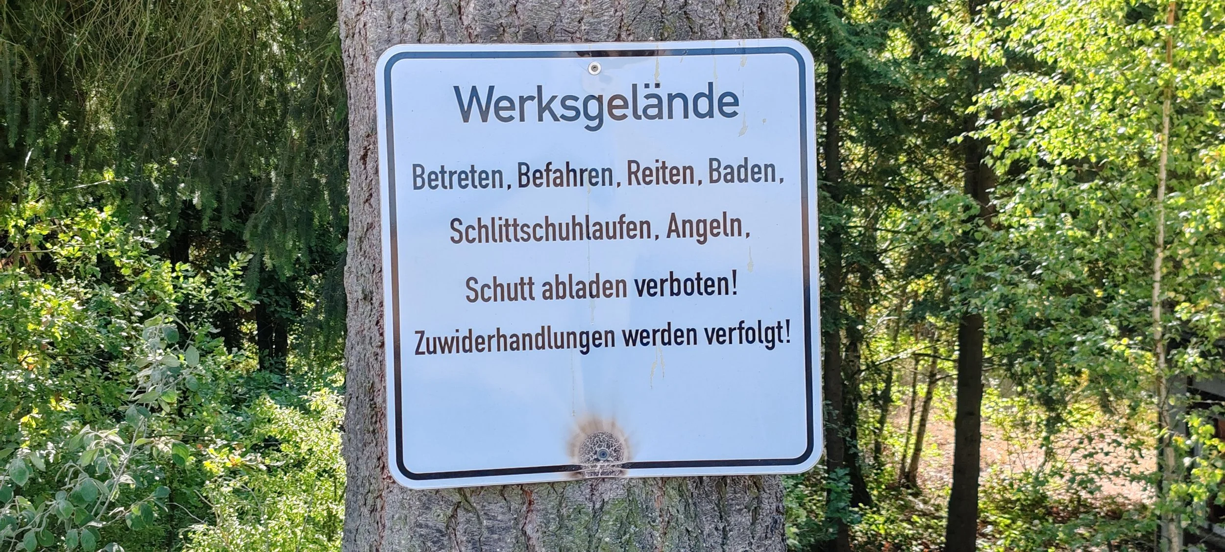 Hinweistafel an einem Baum in einem Wald mit Vorschriften für das Betreten einer Werkstattgelände, keine Fotos oder Angeln erlaubt, Verfolgung bei Zuwiderhandlung.