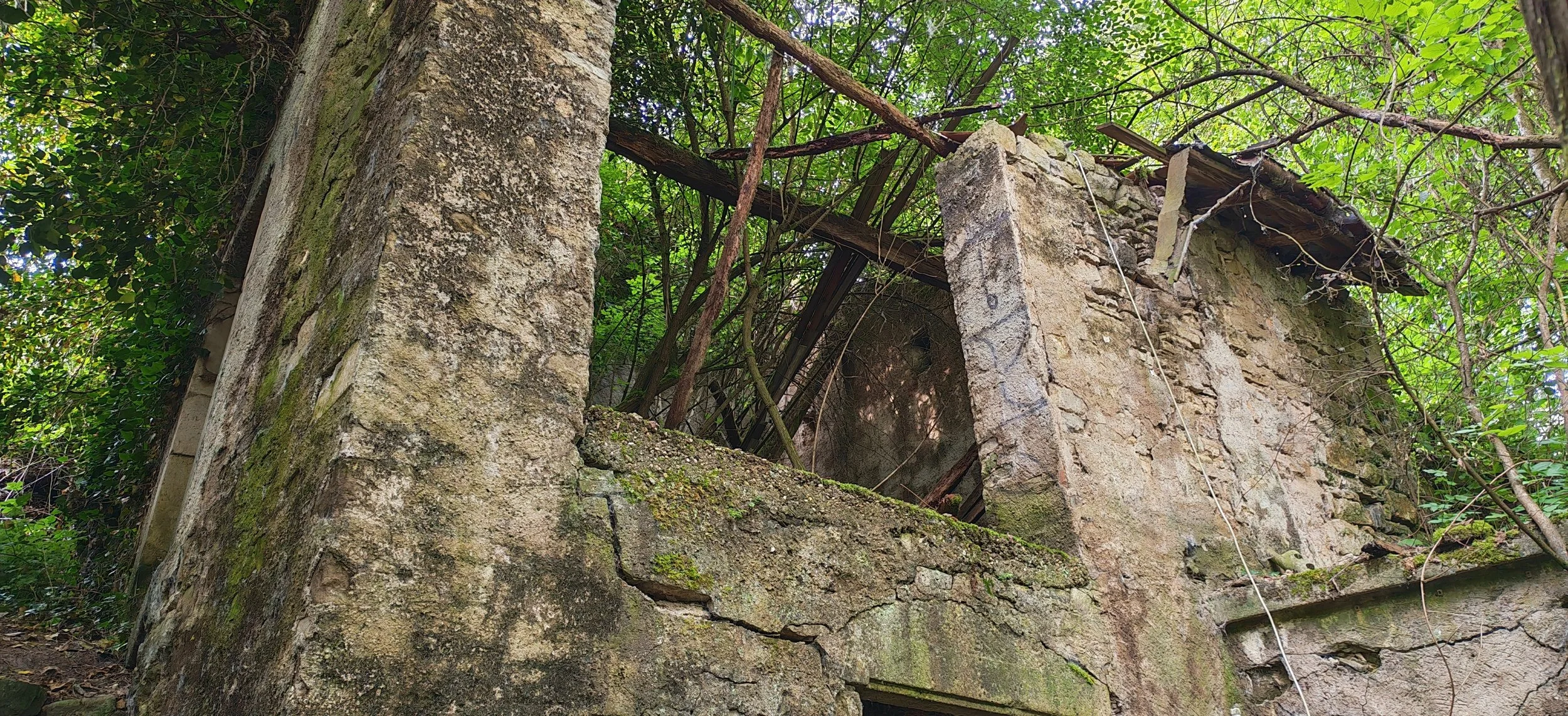 Verfallene, verrostete Steinhütte im grünen Wald, teilweise von Pflanzen überwuchert.