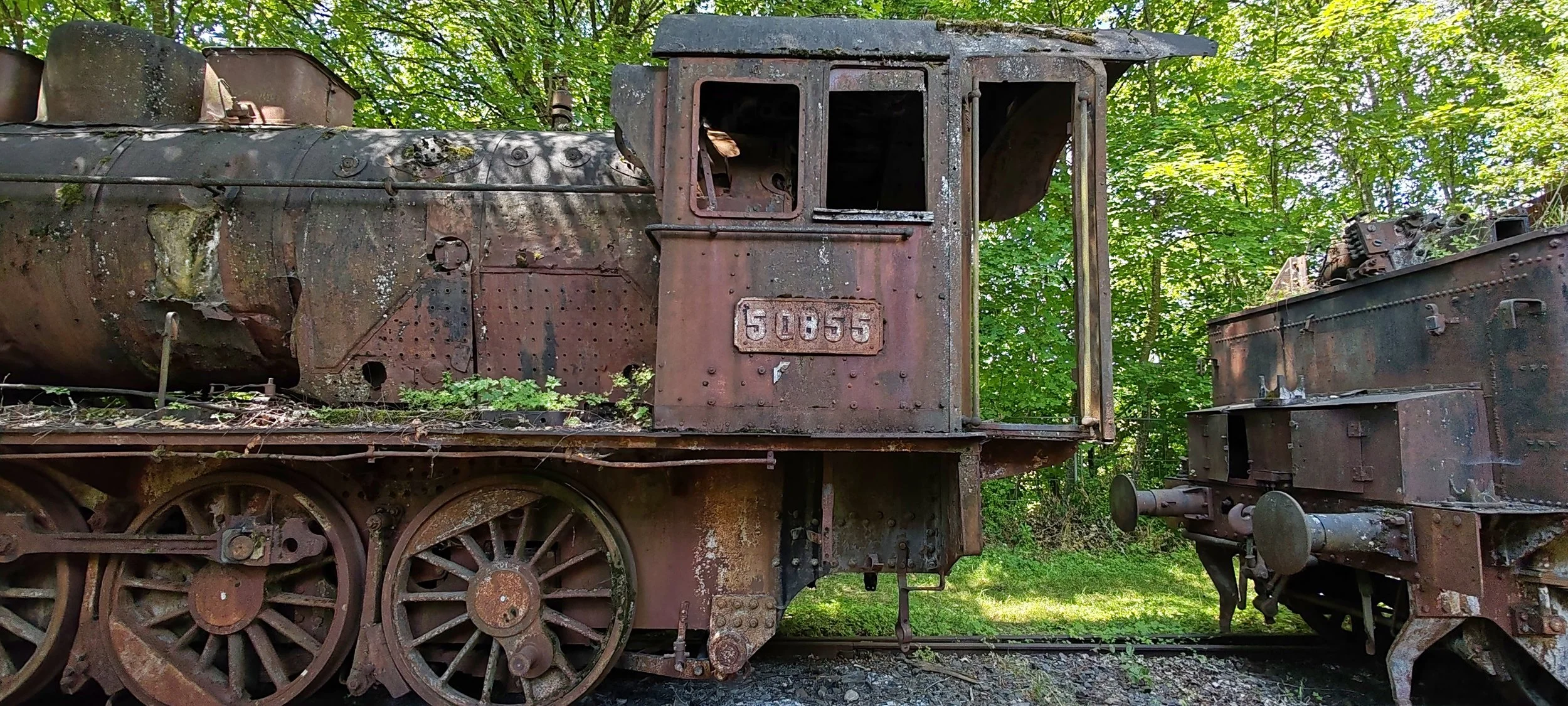 Verrostete alte Dampflok auf einem Bahnabschnitt im Freien, umgeben von grünen Bäumen.