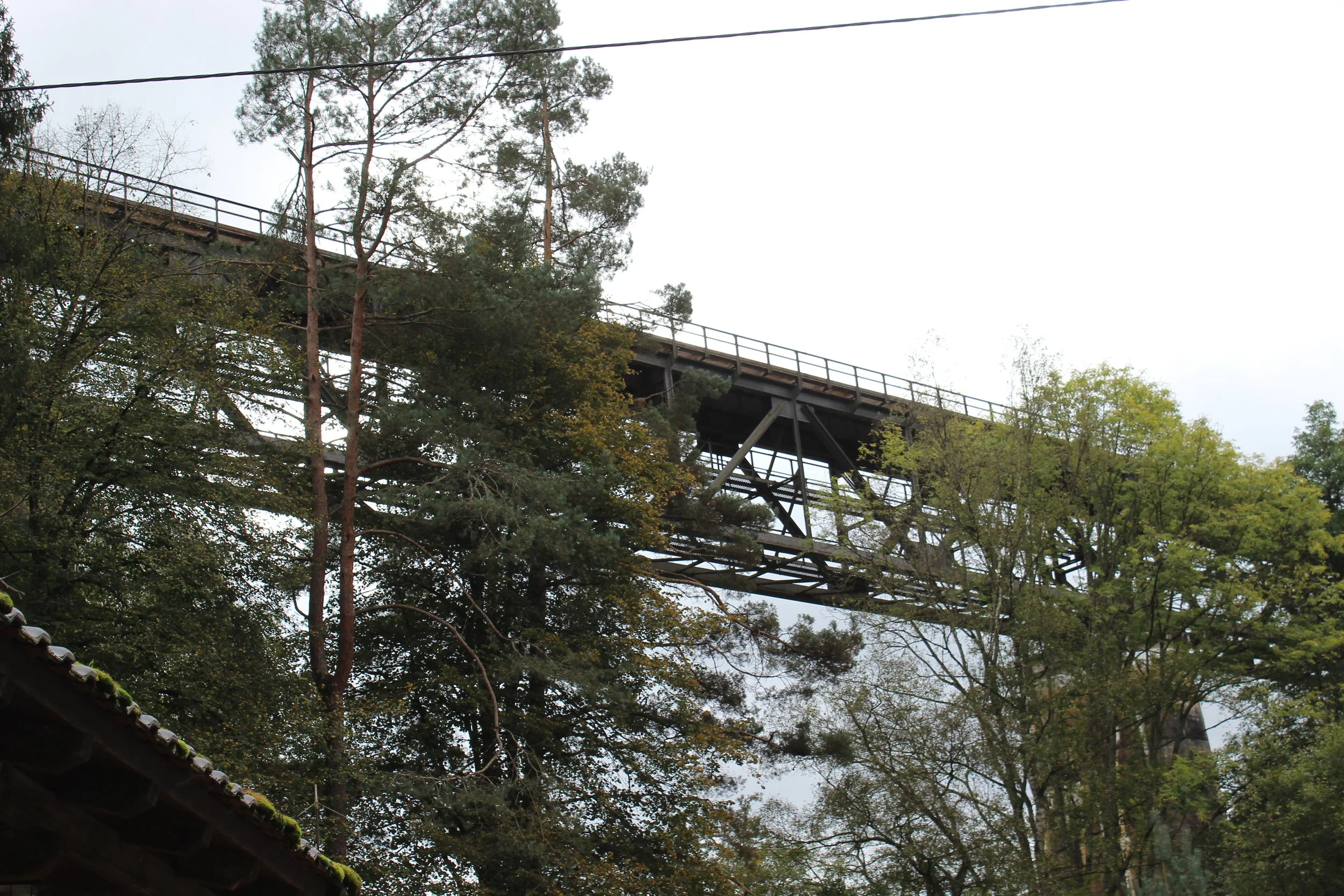 Ein Wald mit Kiefern und Laubbäumen, darunter eine alte Holzbrücke, die über die Bäume führt. Das Bild ist an einem bewölkten Tag aufgenommen.