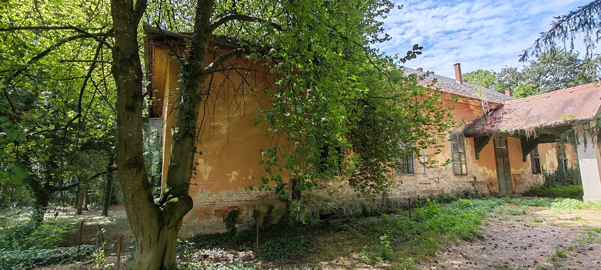 Verfallenes, altes Haus mit einmal voller Grün- und Baumumgebung, bröckelnder Putz, offene Fenster, Tompfen im Hintergrund, differenzierte Dachkonstruktion, sonniger Tag.