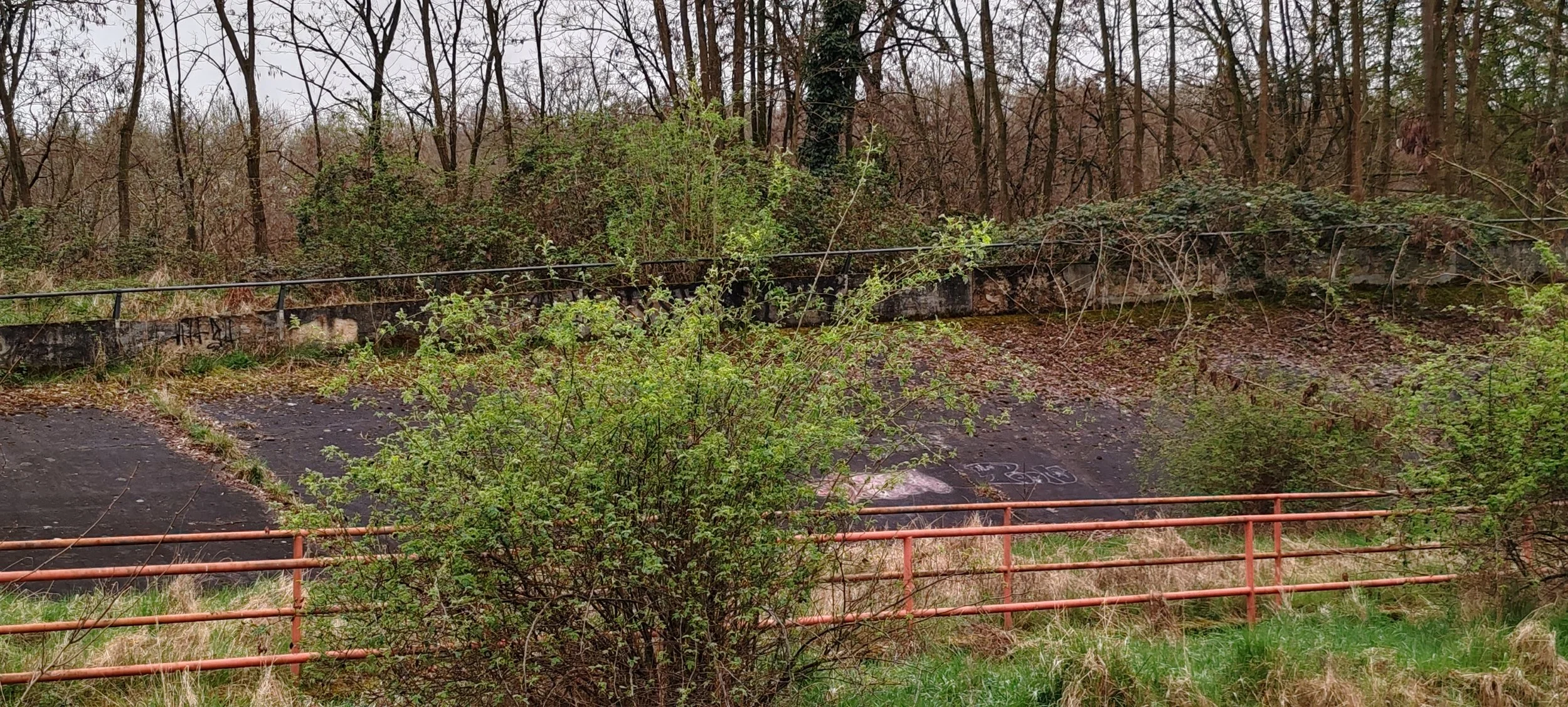 Vergessene BMX-Strecke in einem Wald mit Laubbäumen, Rustzäunen und Graffiti auf der Rampe.