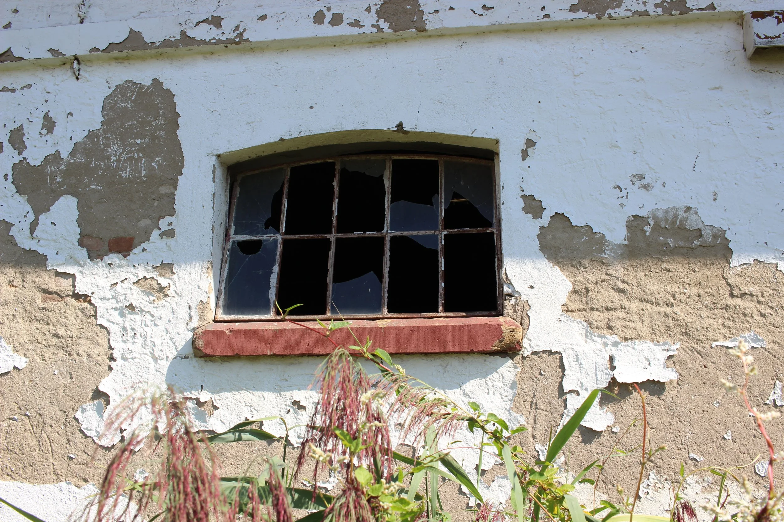 Verlassenes, beschädigtes Fenster in einer alten Hauswand mit abblätternder Farbe, umgeben von Pflanzen.