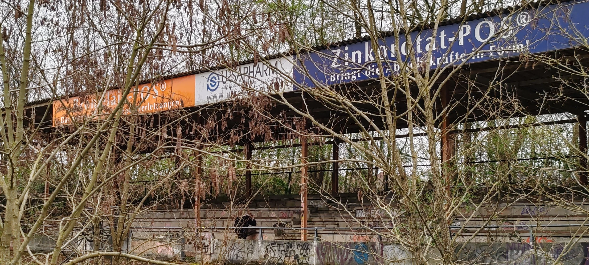 Verfallene, verlassene Bahn- oder Buswartehalle mit Graffiti, umgeben von Bäumen ohne Blätter, Werbung und Graffiti auf der Wand