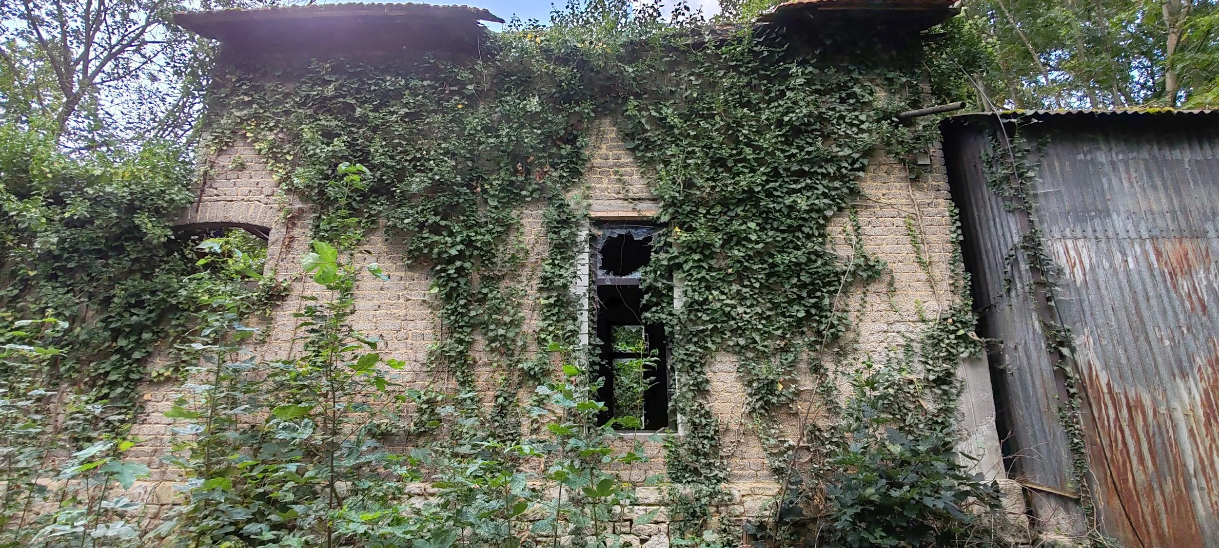 Verfallenes Haus mit Fenstern ohne Glas, überwuchert von Pflanzen und Efeu, mit einem teils rostigen Metalldach auf der rechten Seite.